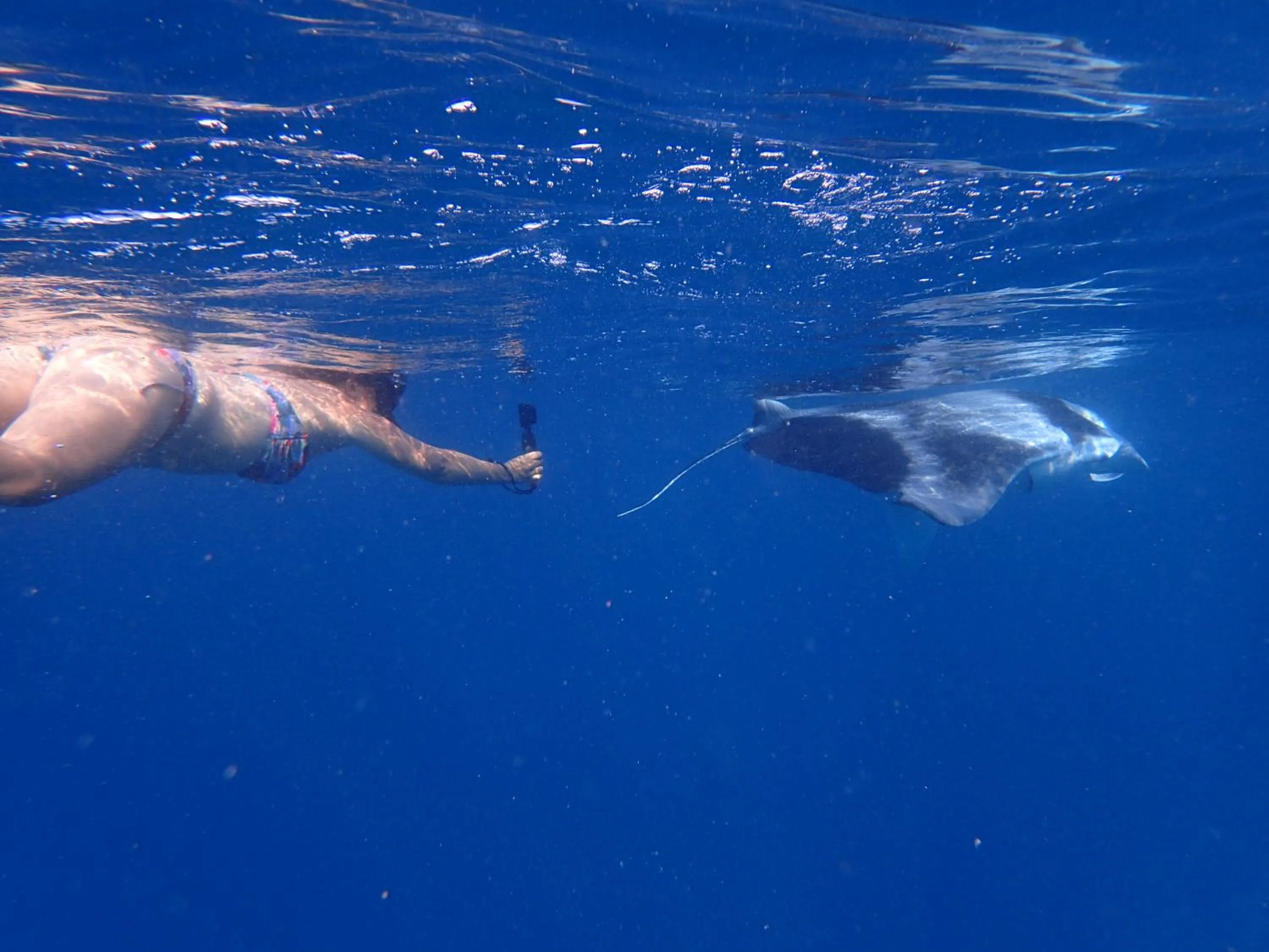 Nearby landmark in Island Home Inn