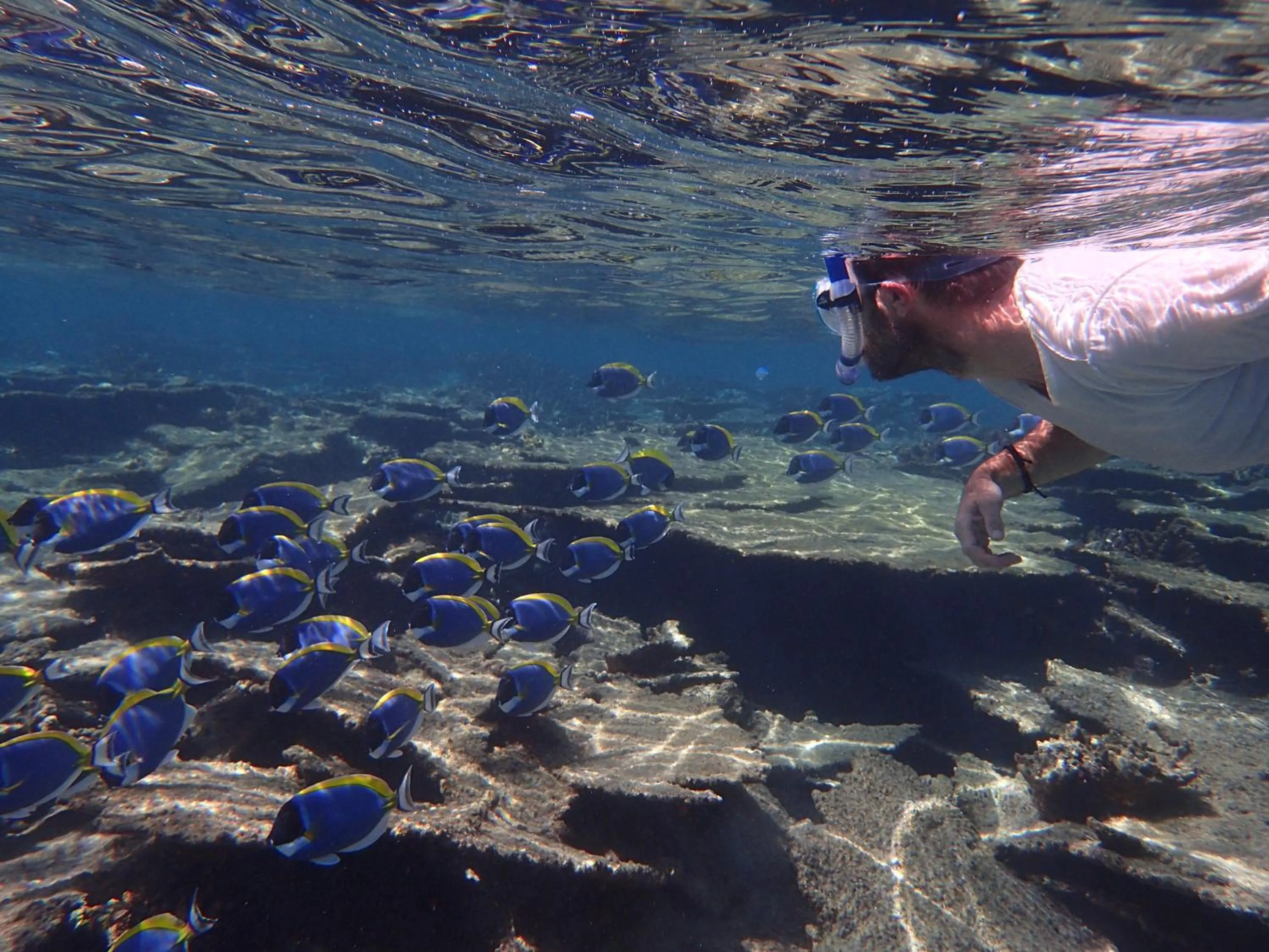 Off site in Island Home Inn