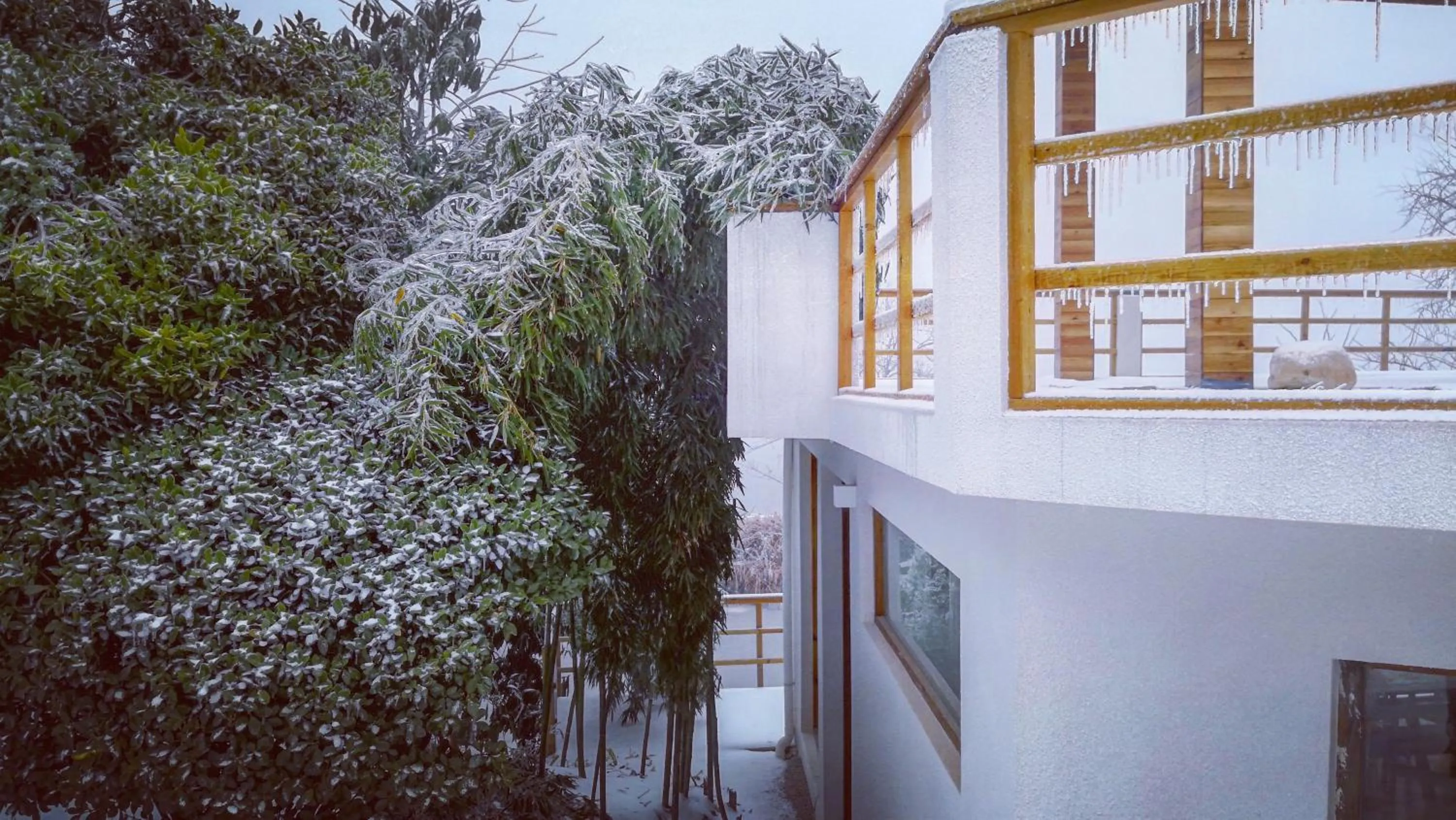 Balcony/Terrace in Purespace