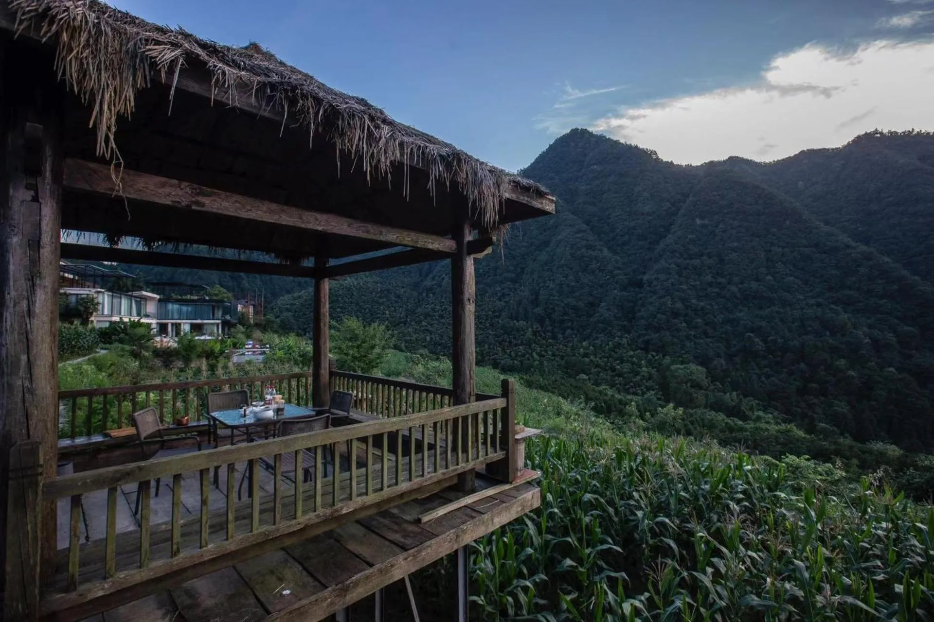 Property building in Purespace