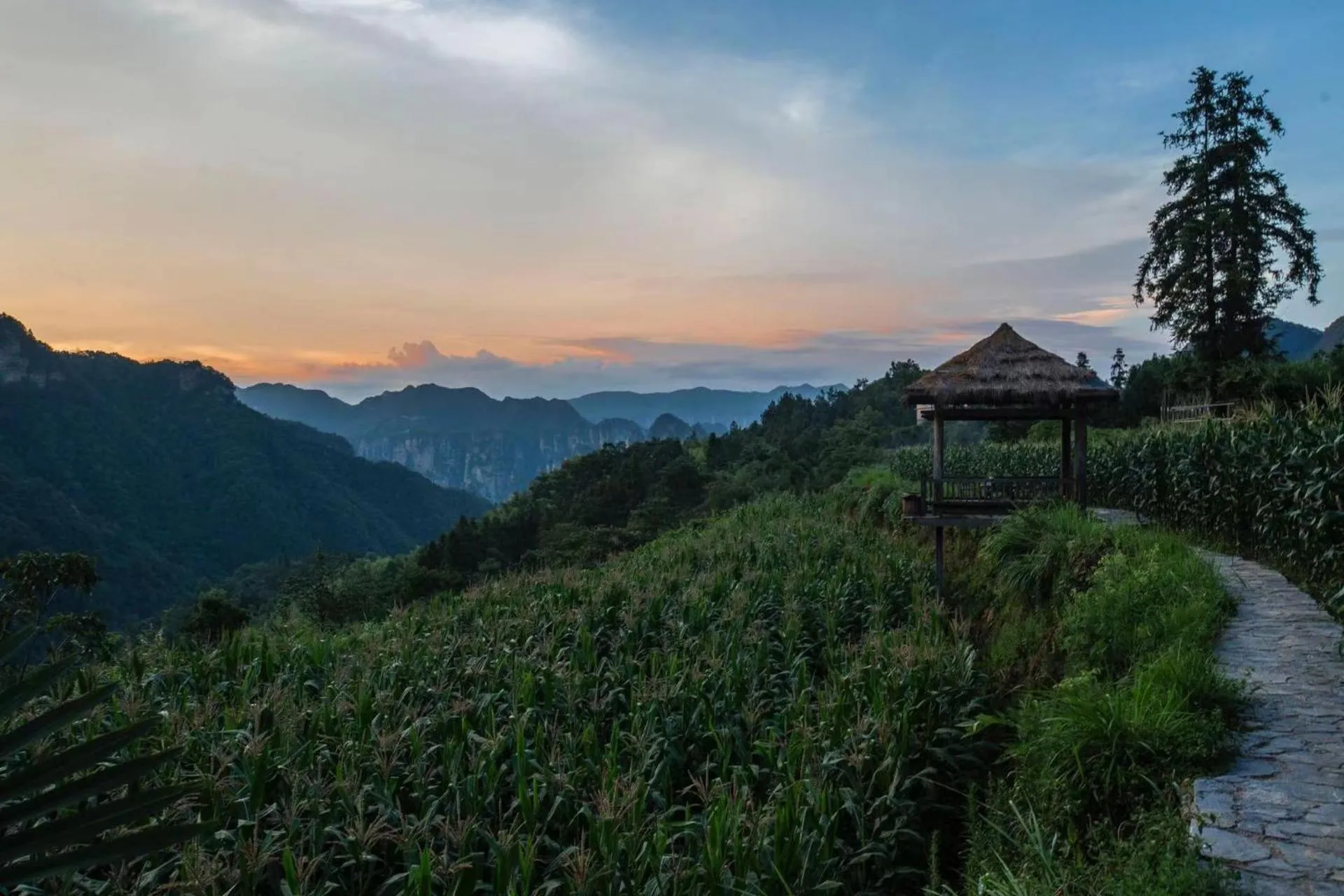 Mountain view in Purespace