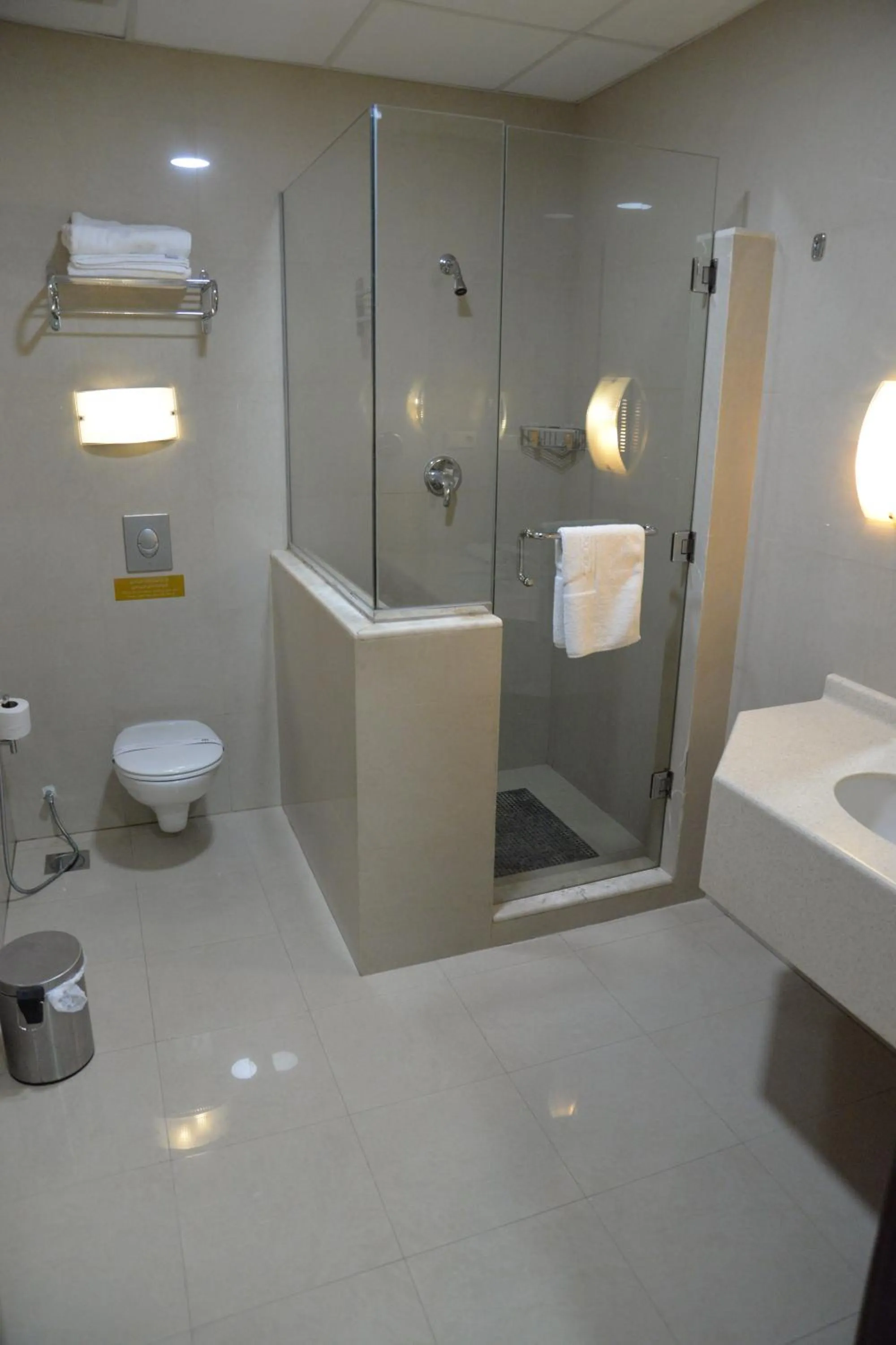 Shower in The Palace Suites