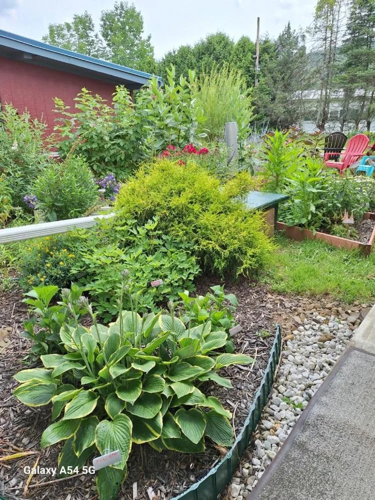 Garden in Rest Stop 6 Inn