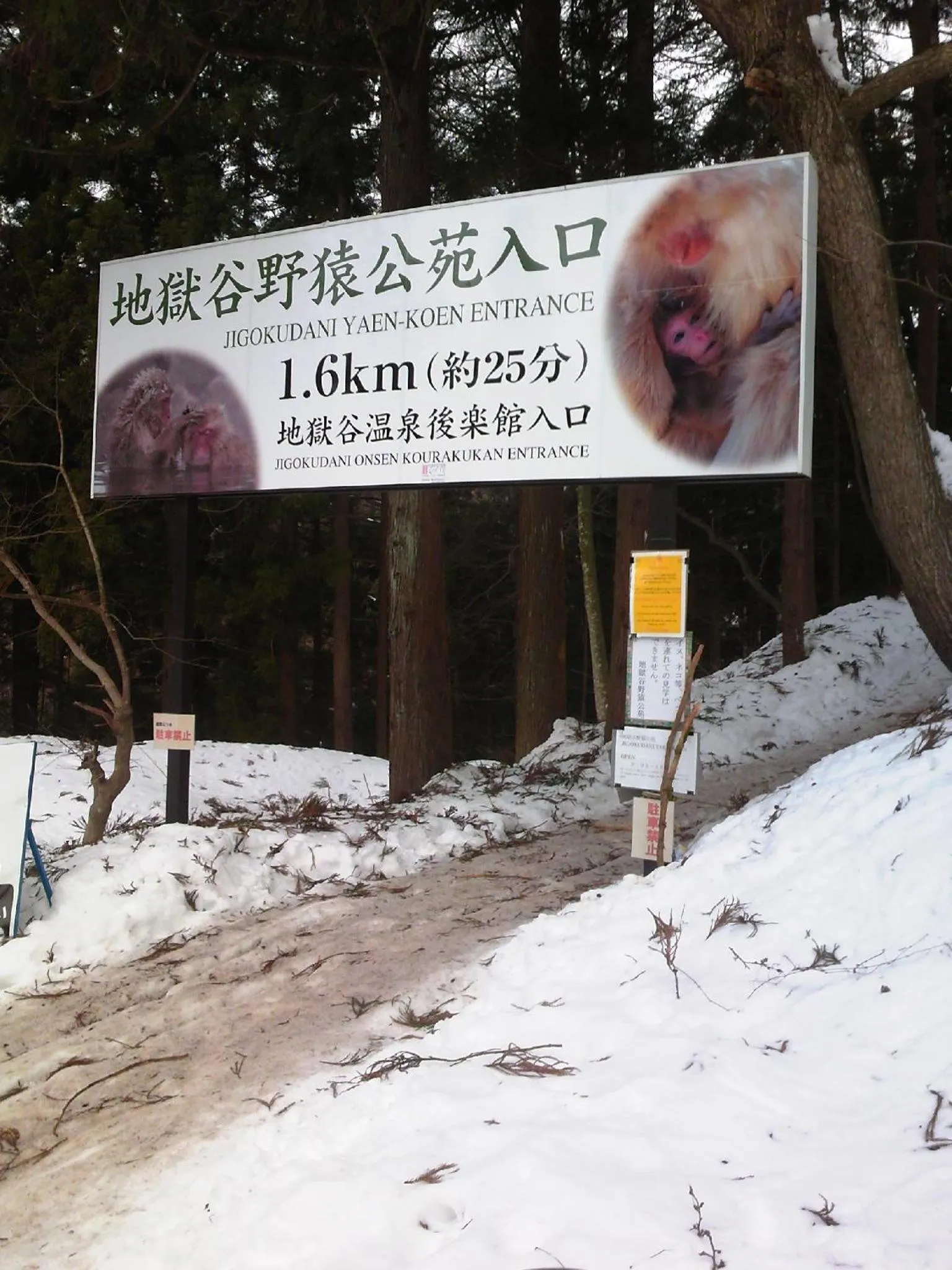 Area and facilities in Uotoshi Ryokan