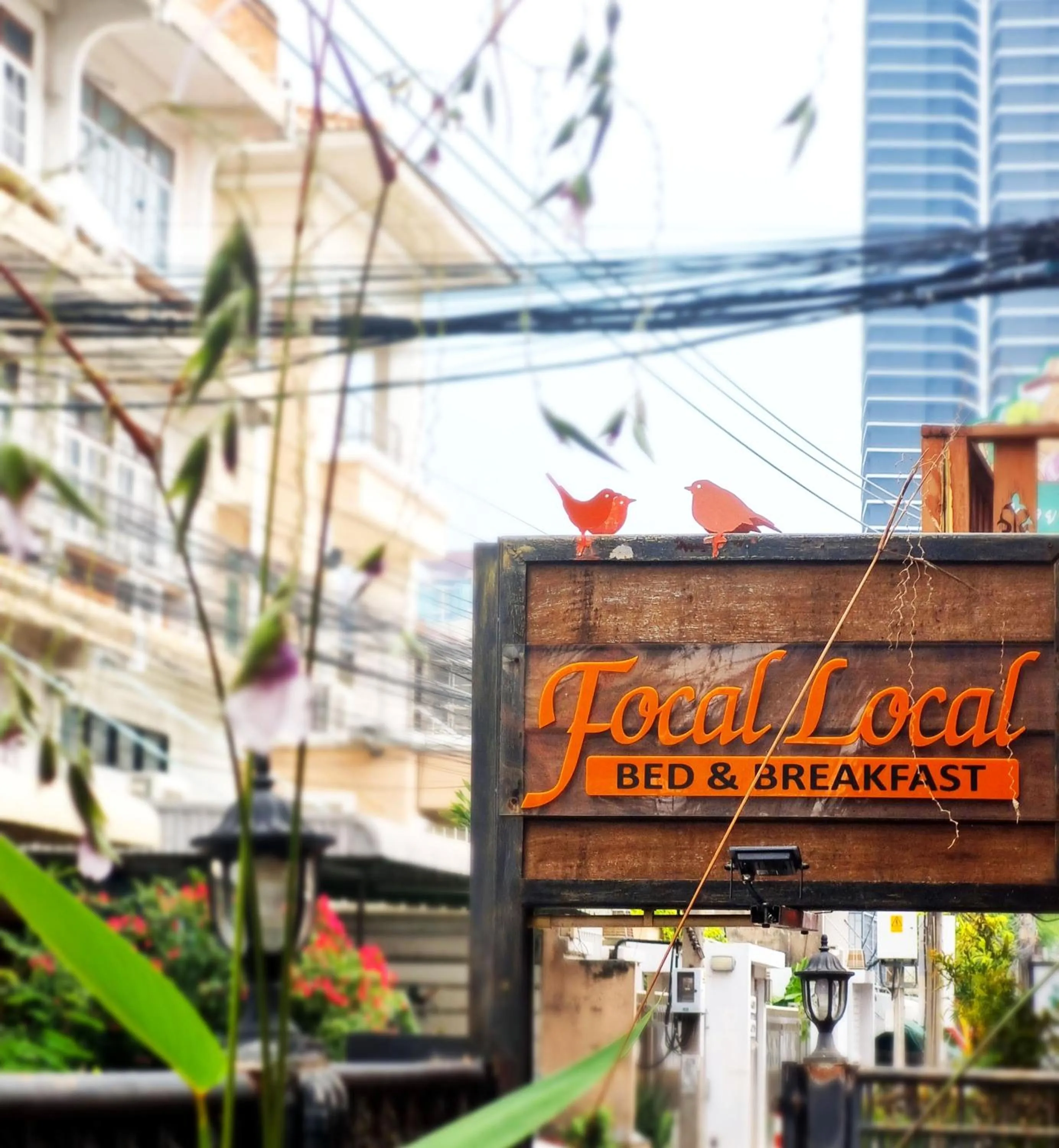 Street view in Focal Local Bed & Breakfast