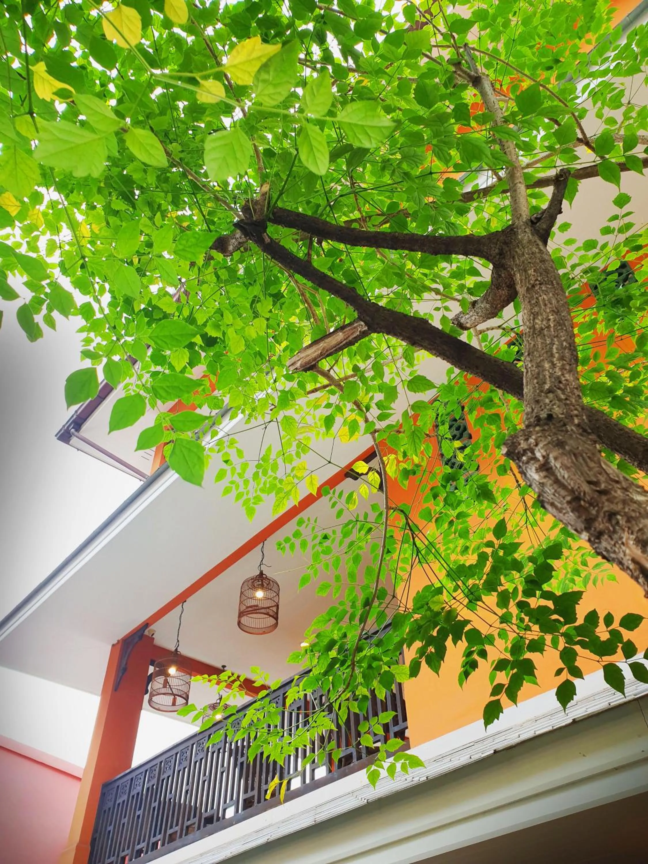 Property building in Focal Local Bed & Breakfast