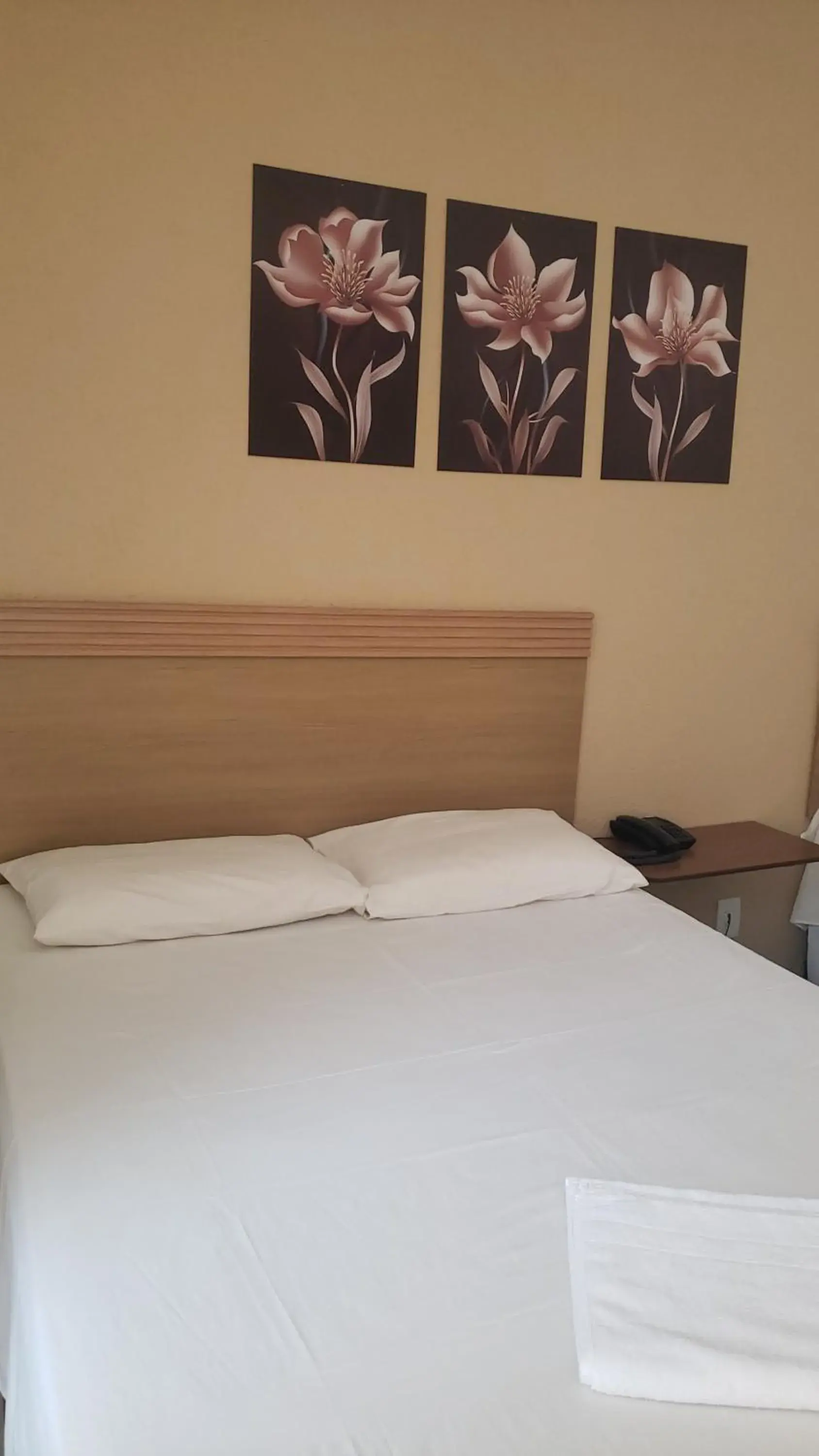 Suite in Hotel Flamboiã Suite in Hotel Flamboiã