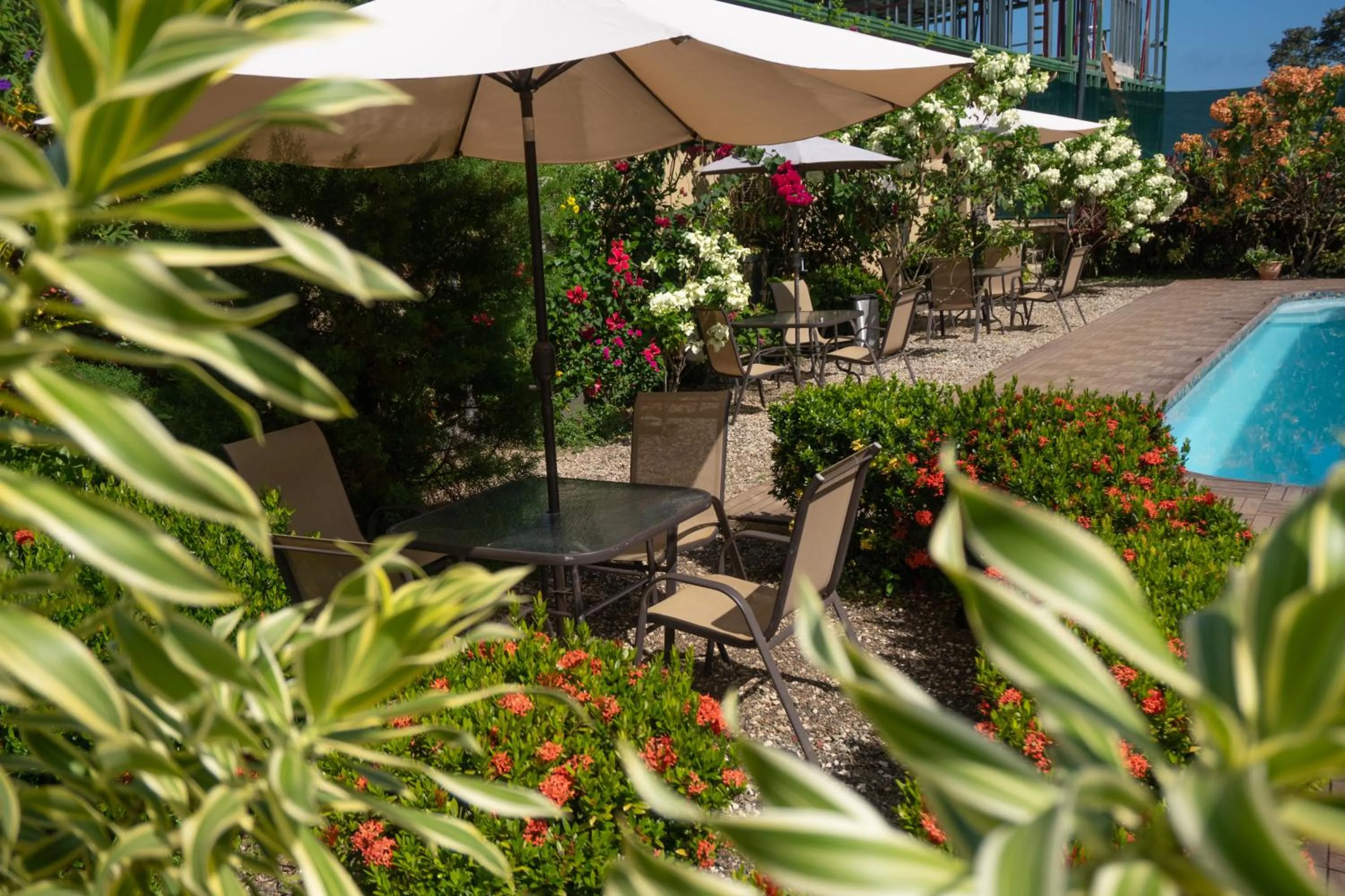 Garden in Hotel Margarita and Tour Operator Drake Bay