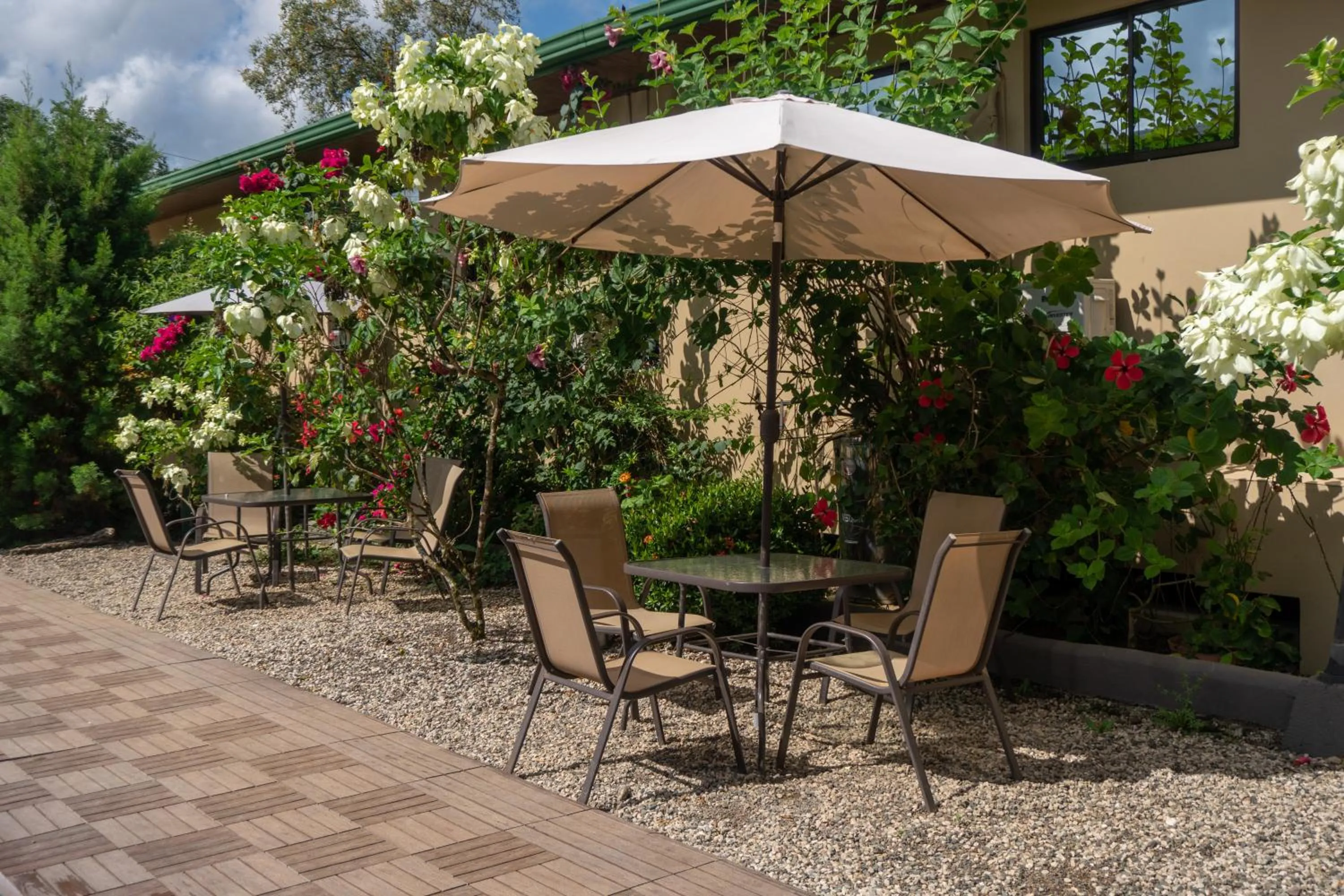 Patio in Hotel Margarita and Tour Operator Drake Bay