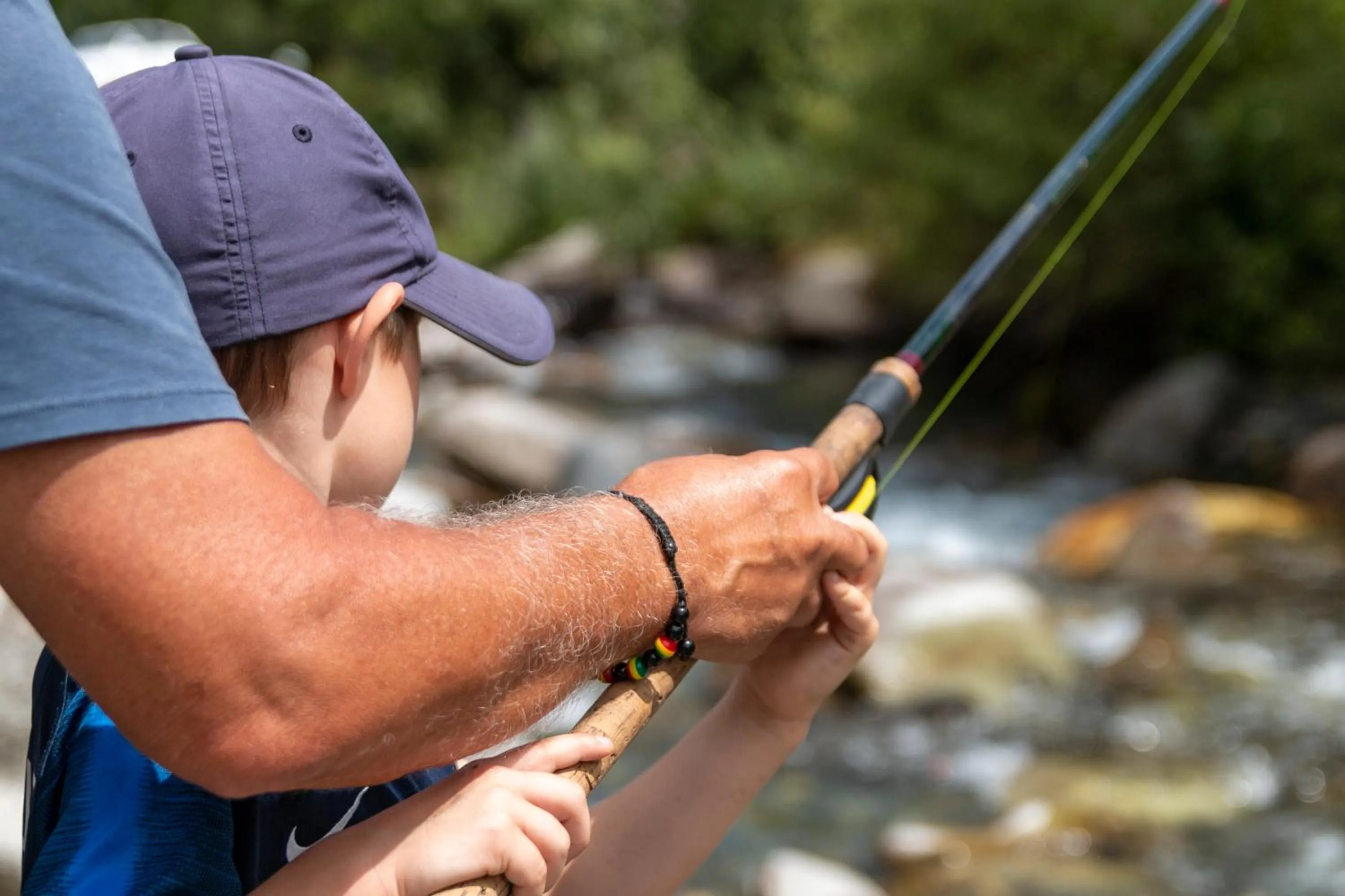 Day in Hôtel Le Bois Joli