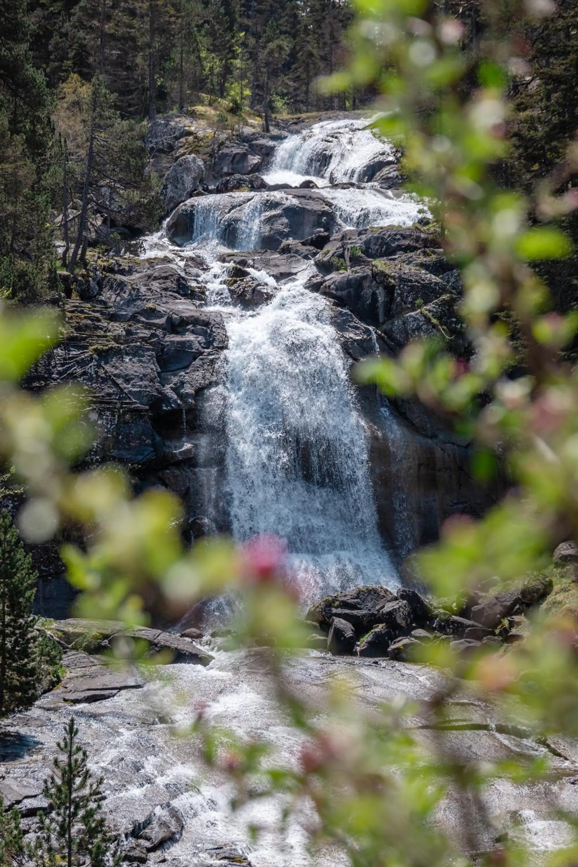 Nearby landmark in Hôtel Le Bois Joli