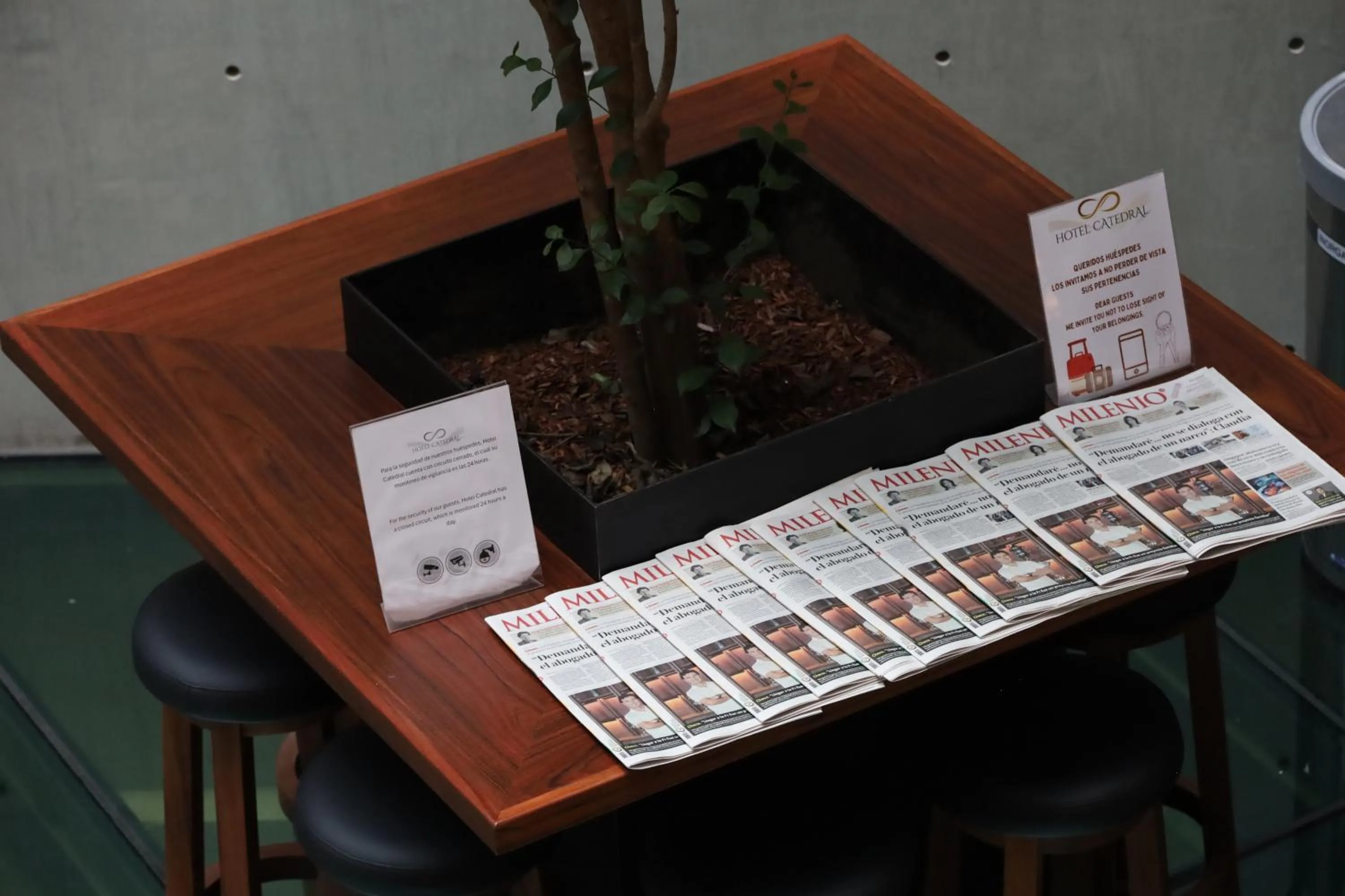 Activities in Hotel Catedral