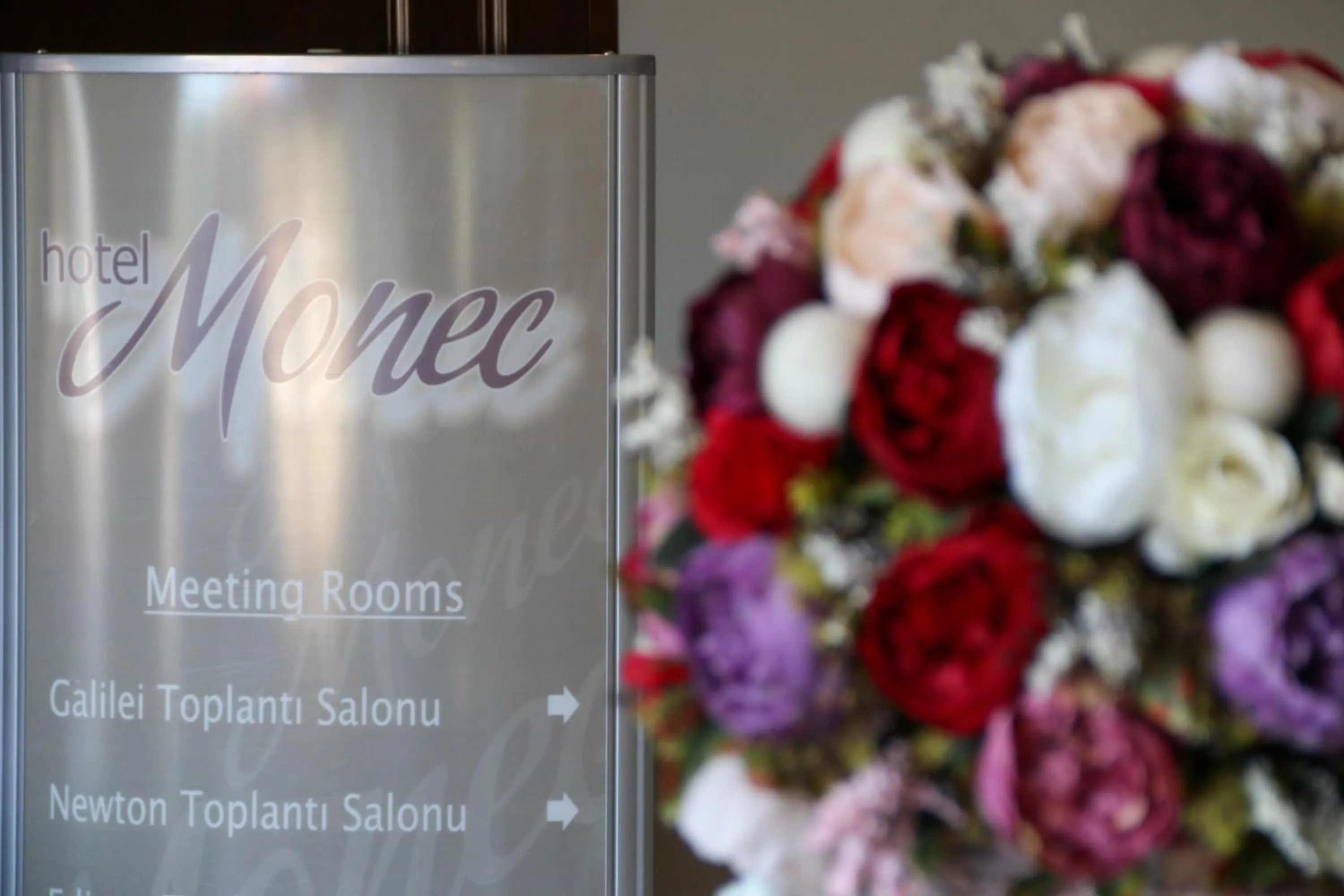 Decorative detail in Hotel Monec