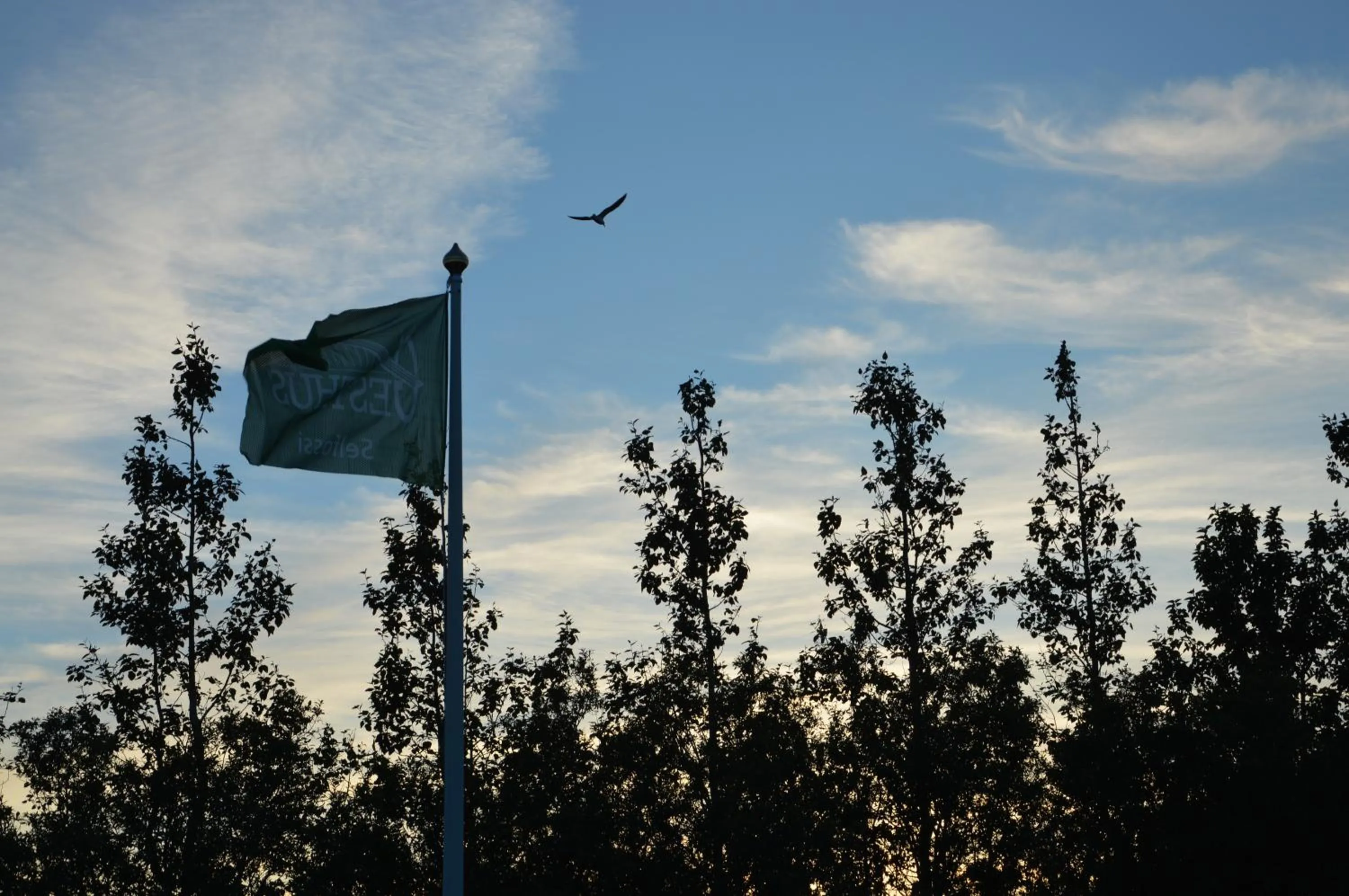 Day in Gesthus Selfoss