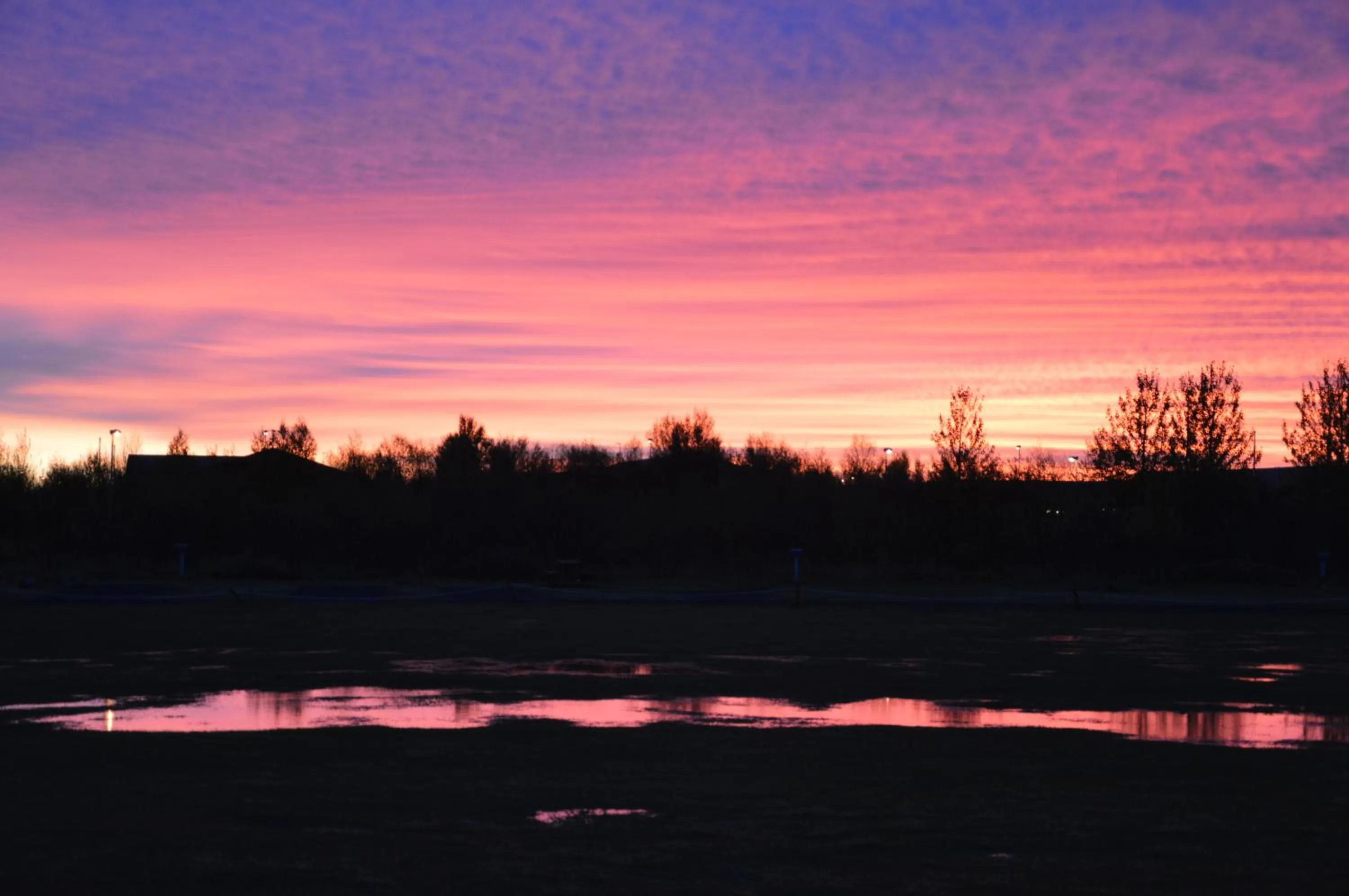 Garden in Gesthus Selfoss