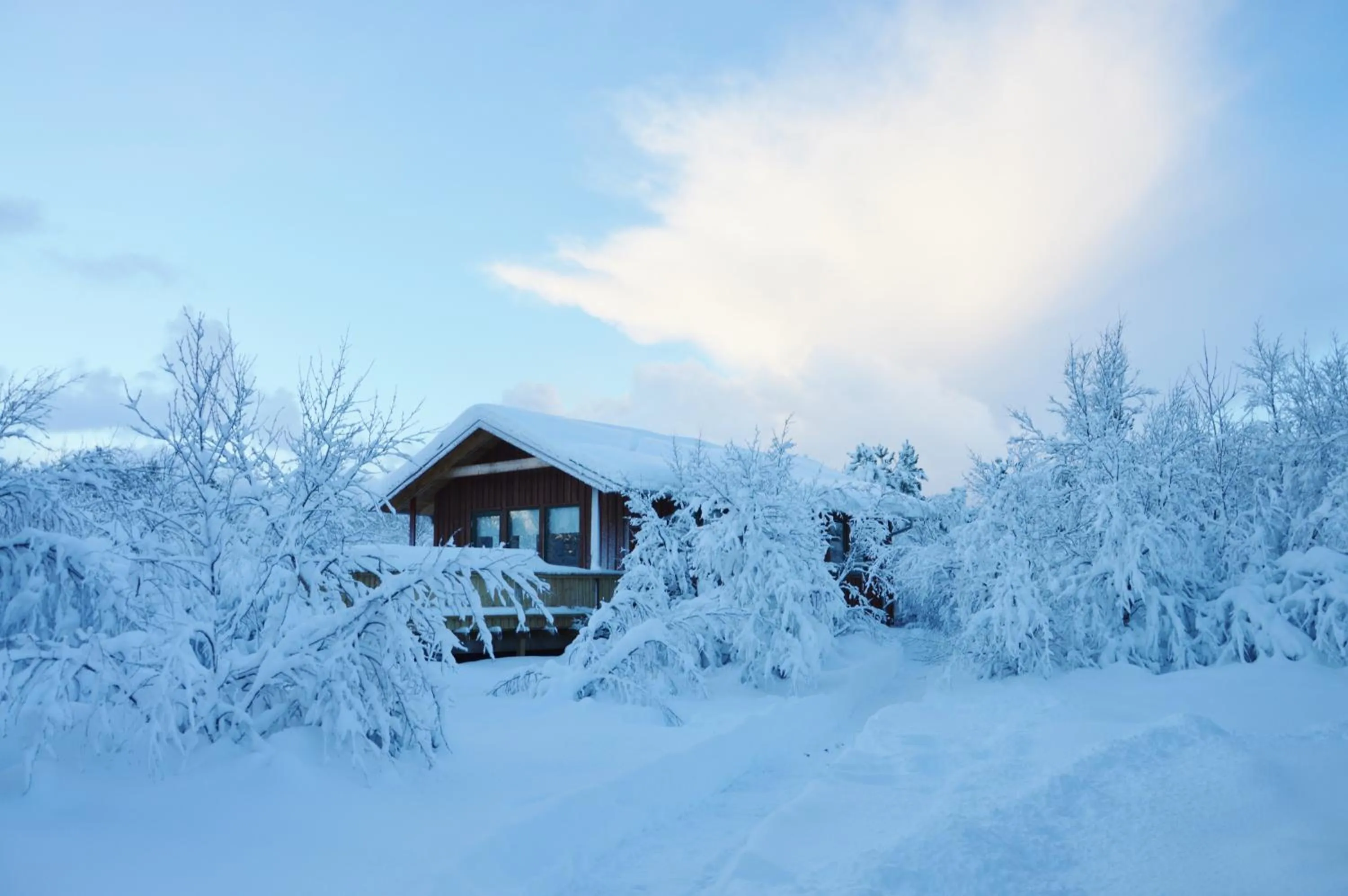Natural landscape in Gesthus Selfoss