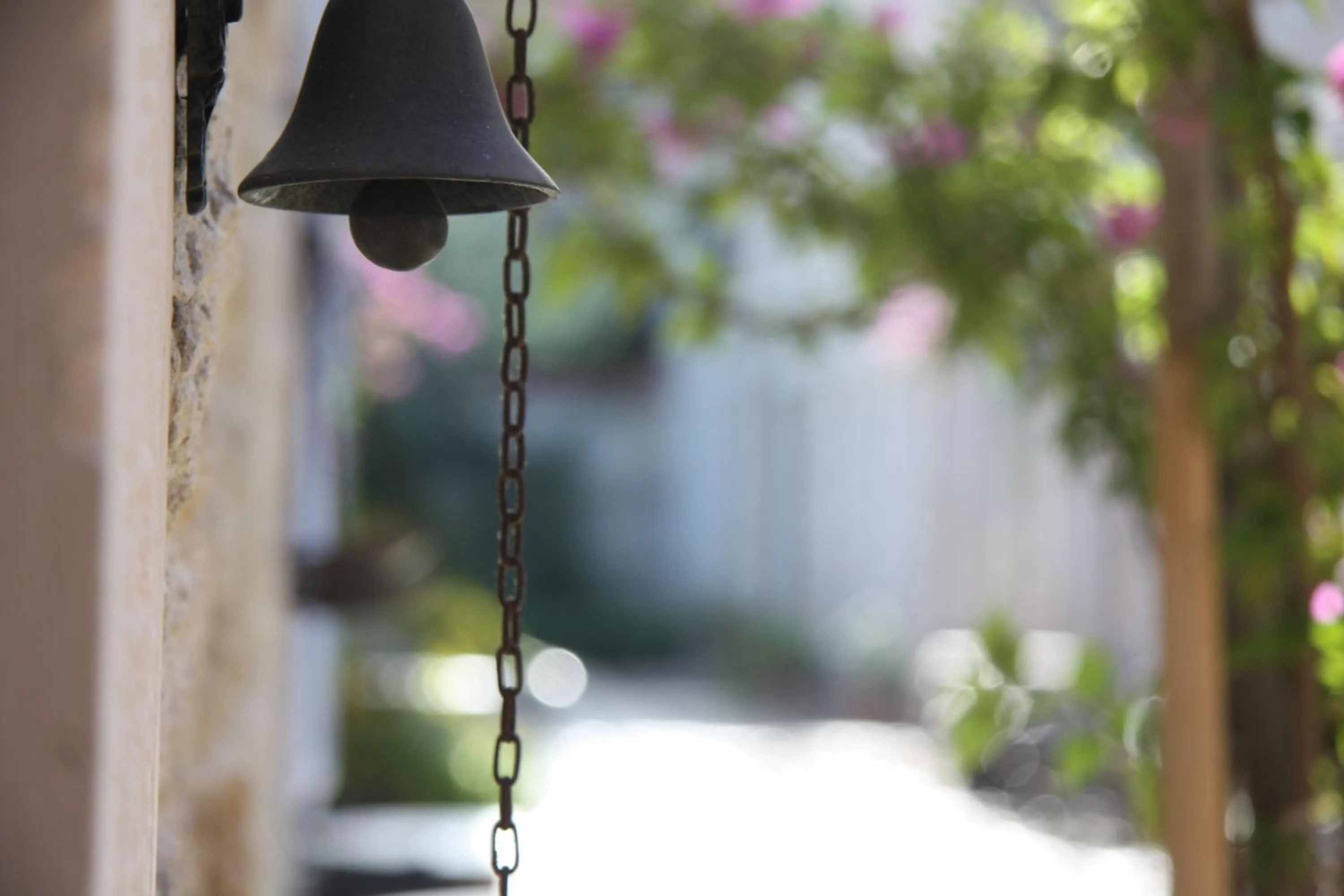 Garden in Griffon Hotel