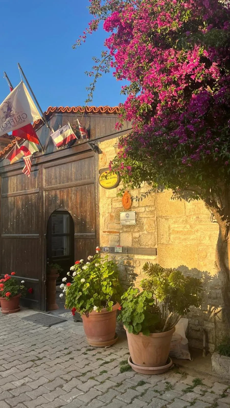 Property building in Griffon Hotel