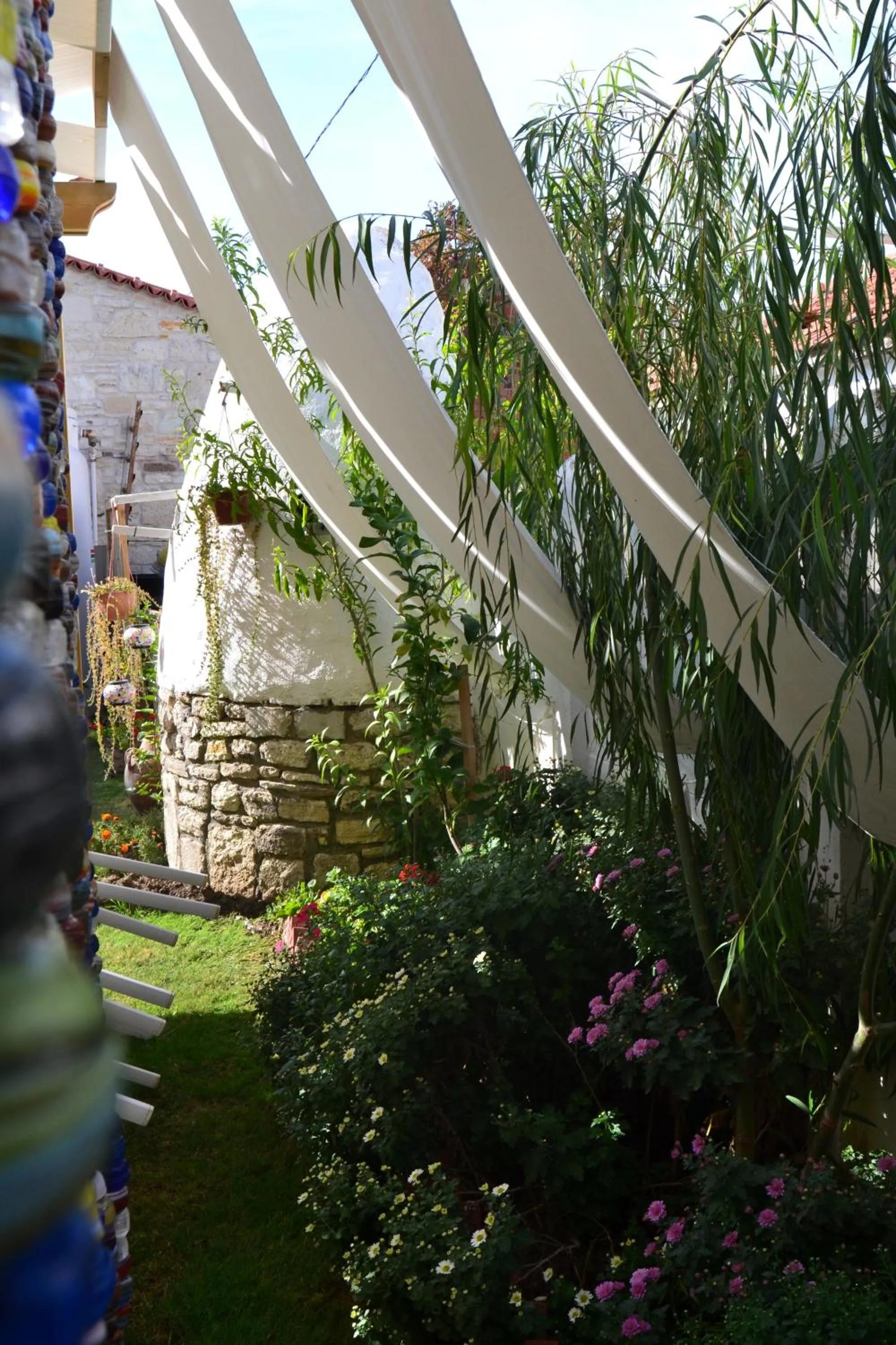 Garden in Griffon Hotel