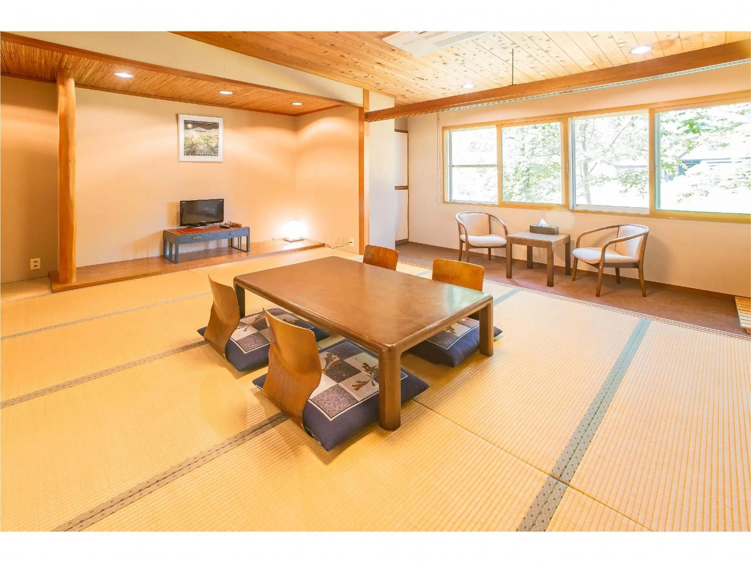 Photo of the whole room in Nomad Hakuba