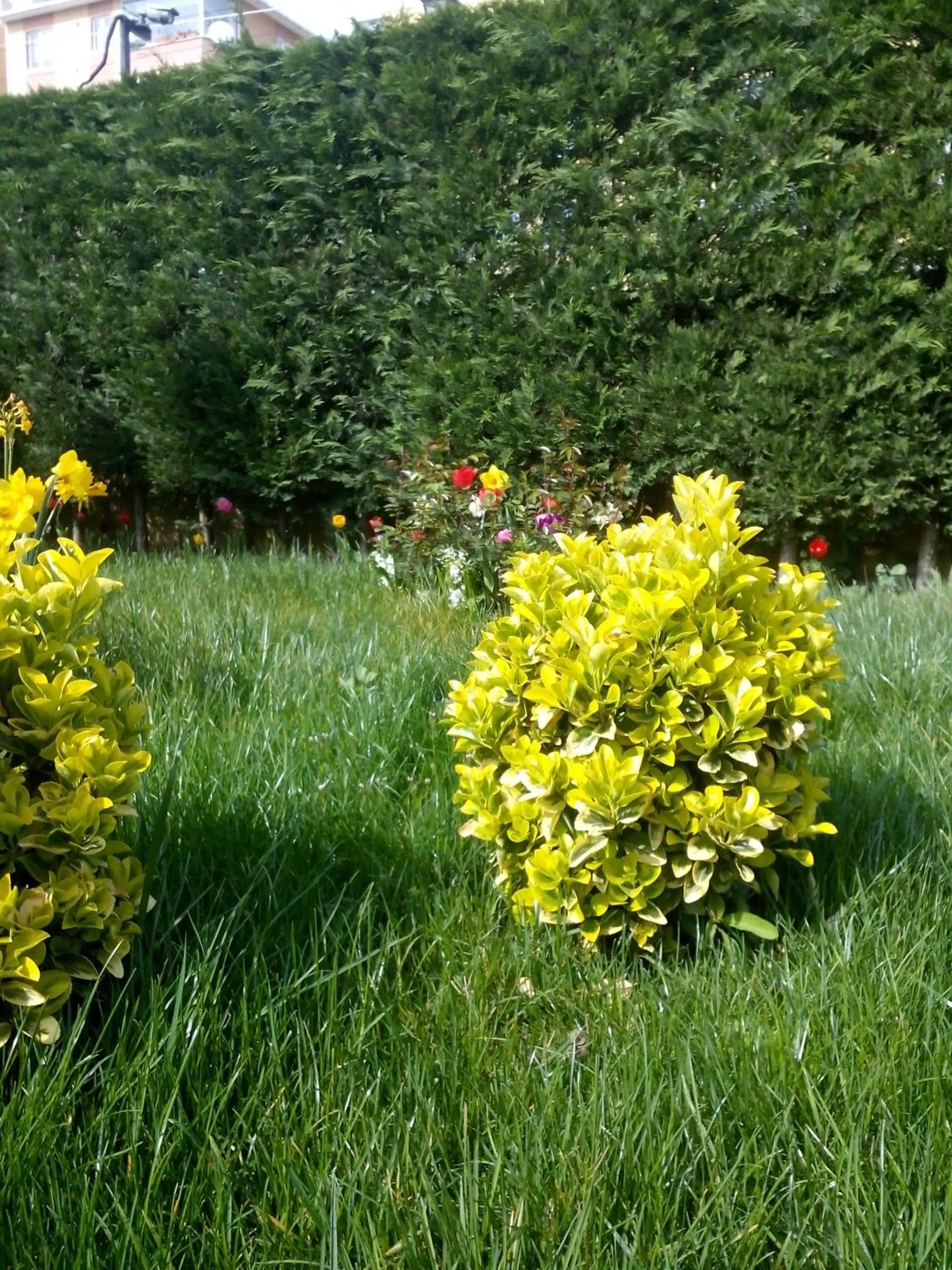 Garden in Pendik Marine Hotel