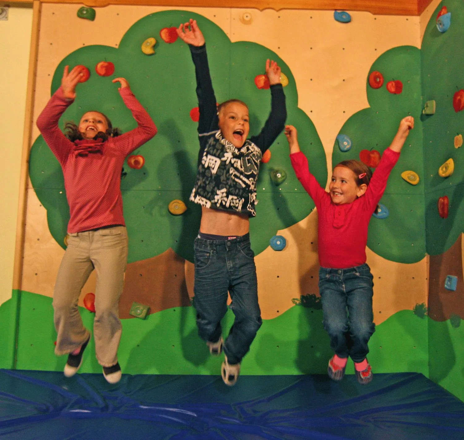 Children play ground in Aparthaus Camping Stubai
