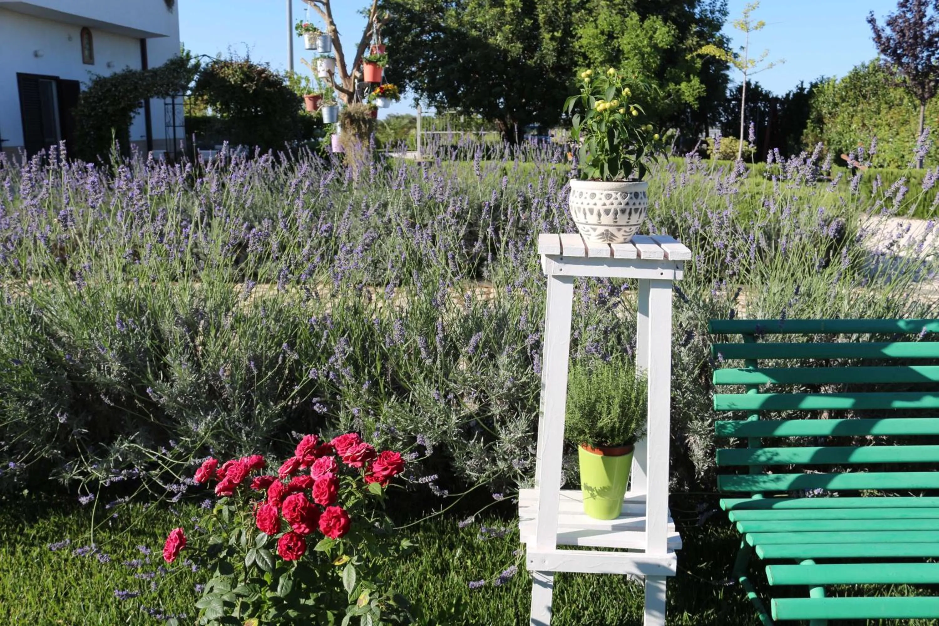 Garden in All'ombra del Carrubo - Metaponto