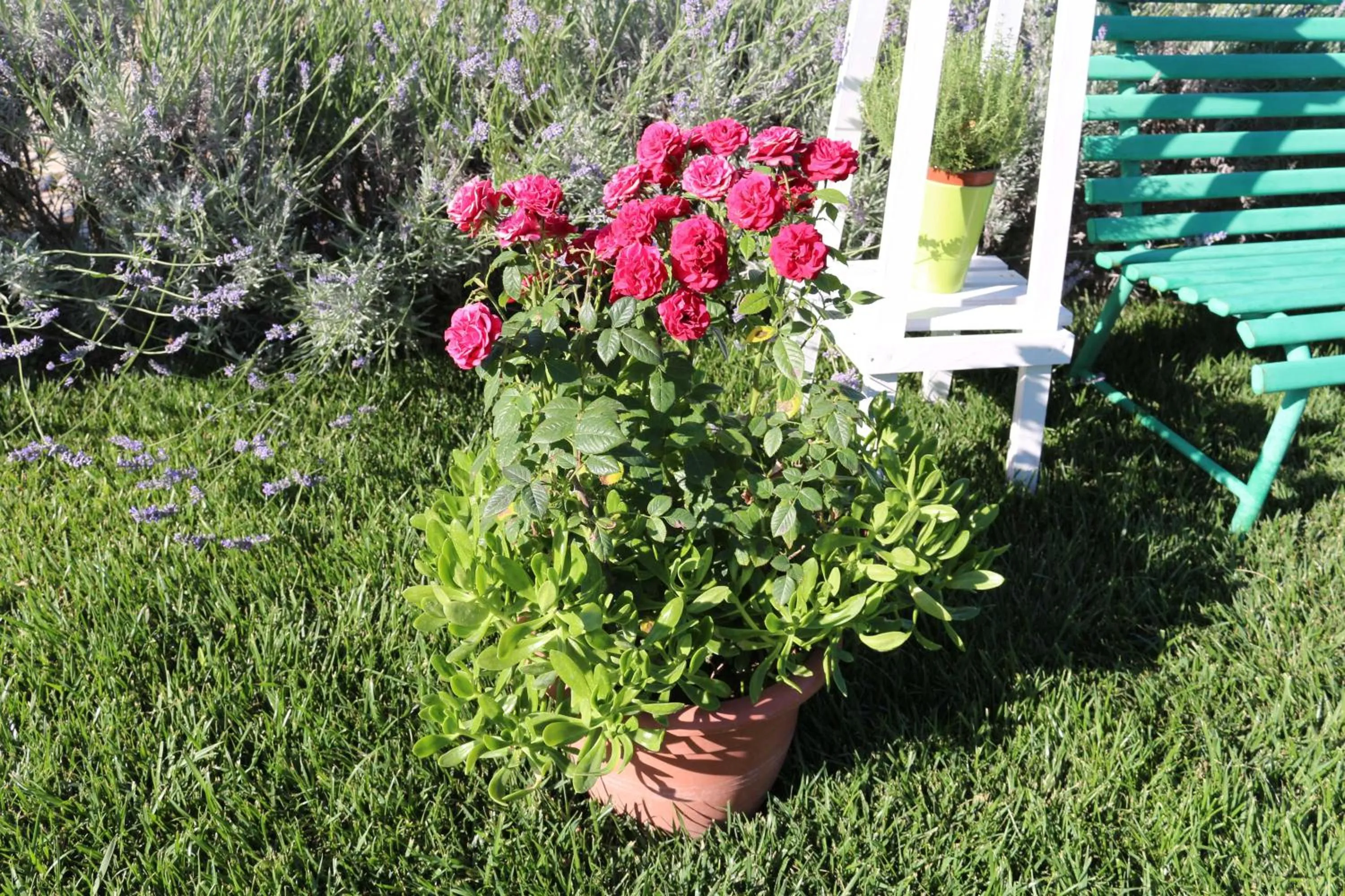 Garden in All'ombra del Carrubo - Metaponto