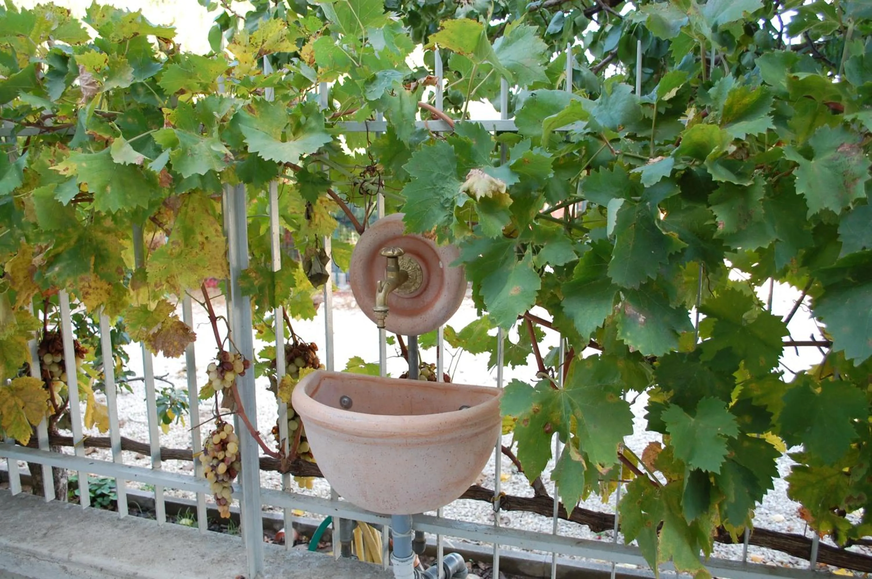 Decorative detail in All'ombra del Carrubo - Metaponto