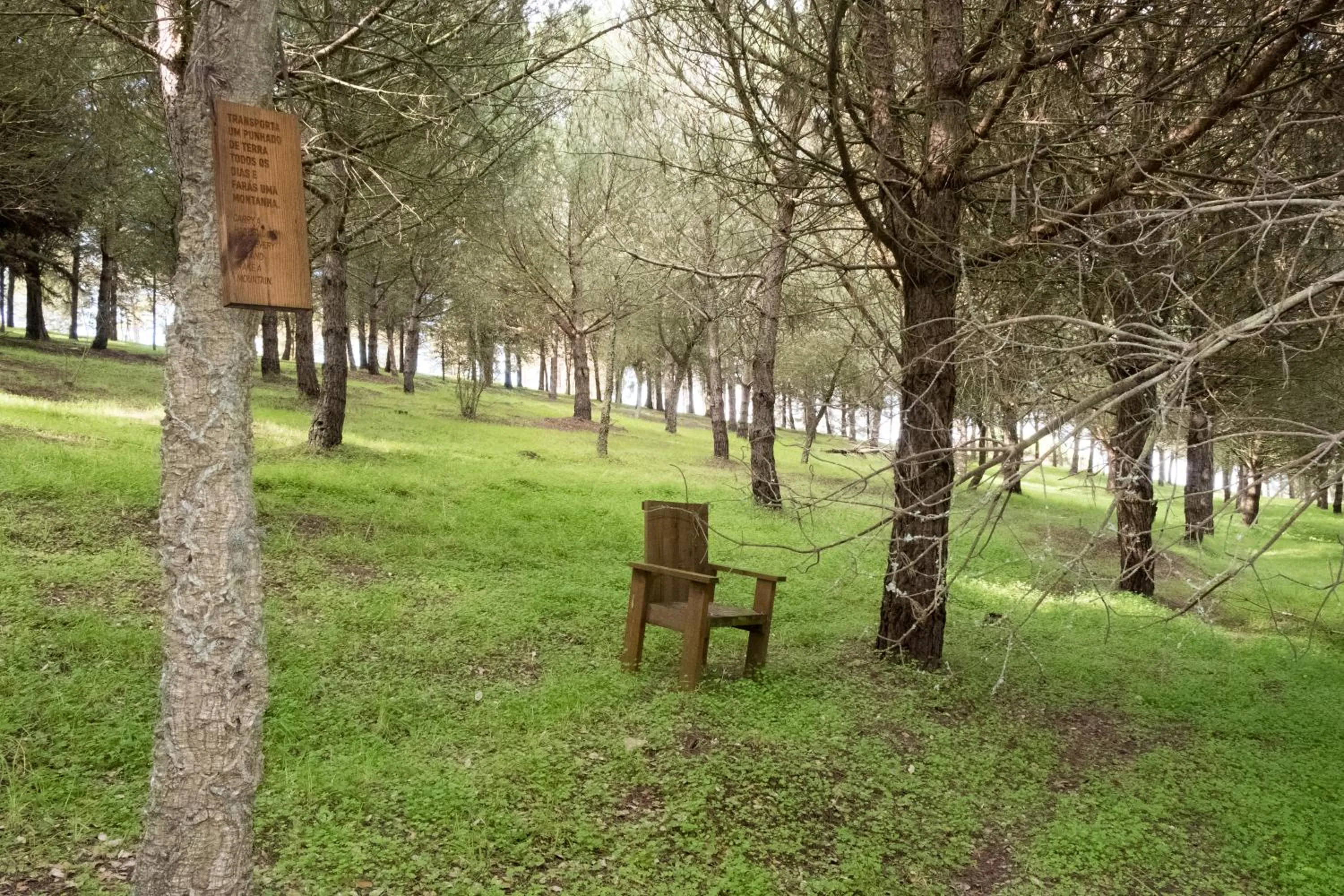Natural landscape in Quinta dos Machados Countryside Hotel & Spa