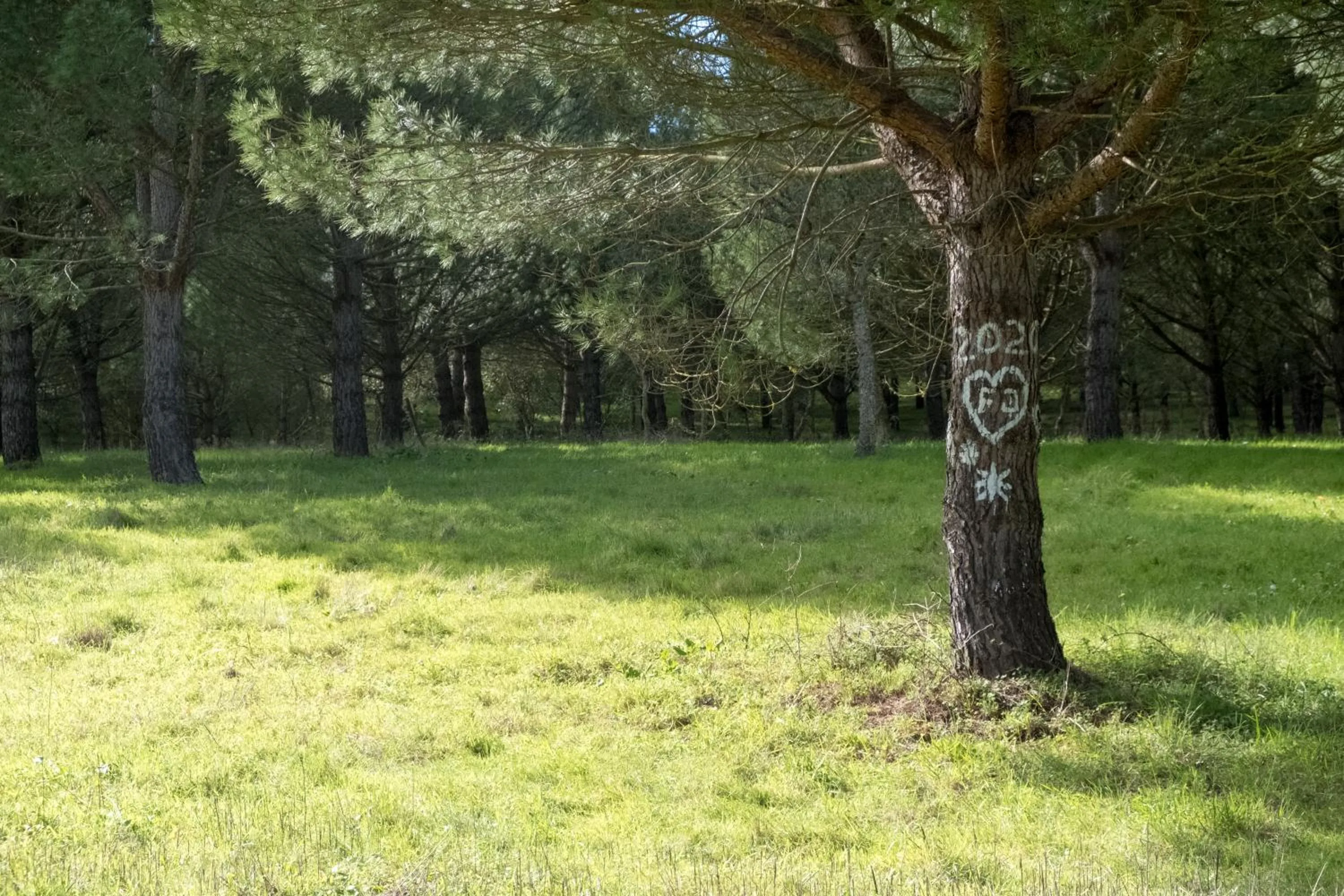 Activities in Quinta dos Machados Countryside Hotel & Spa