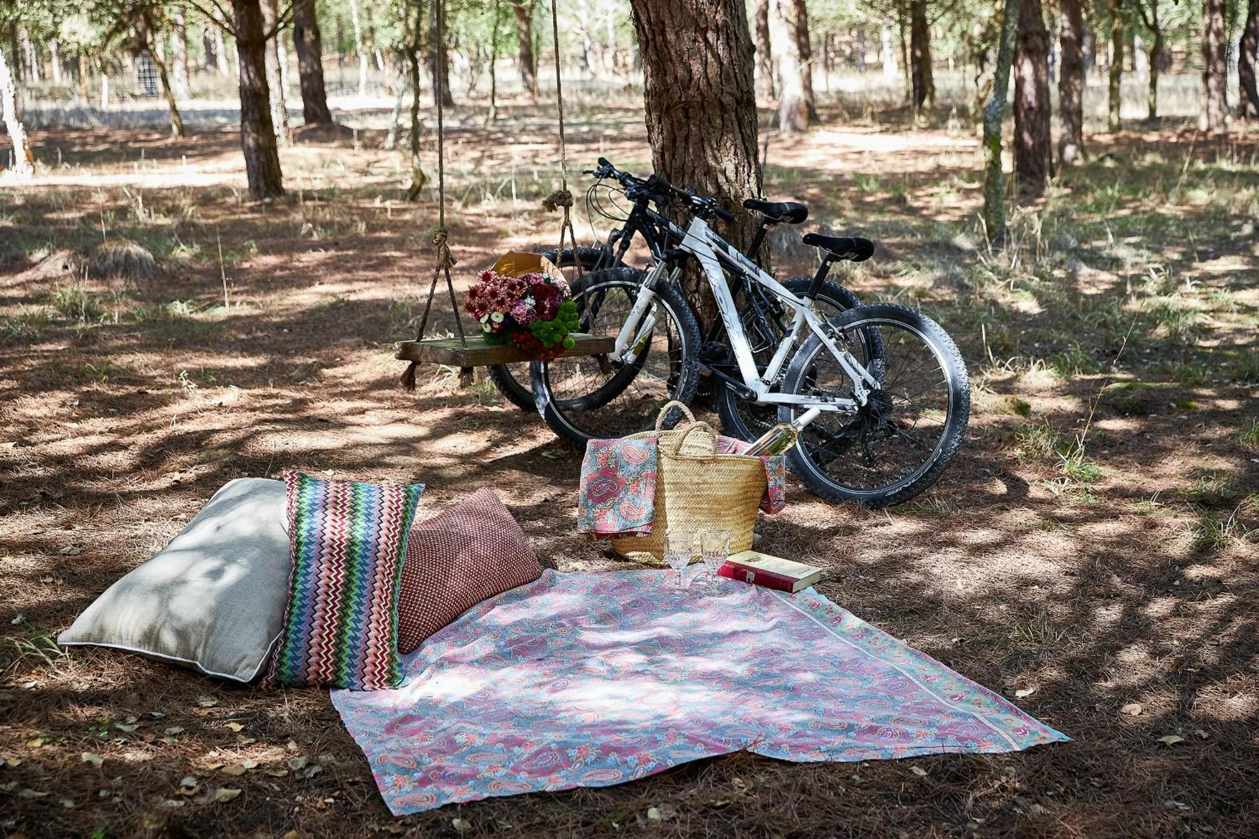 Activities in Quinta dos Machados Countryside Hotel & Spa