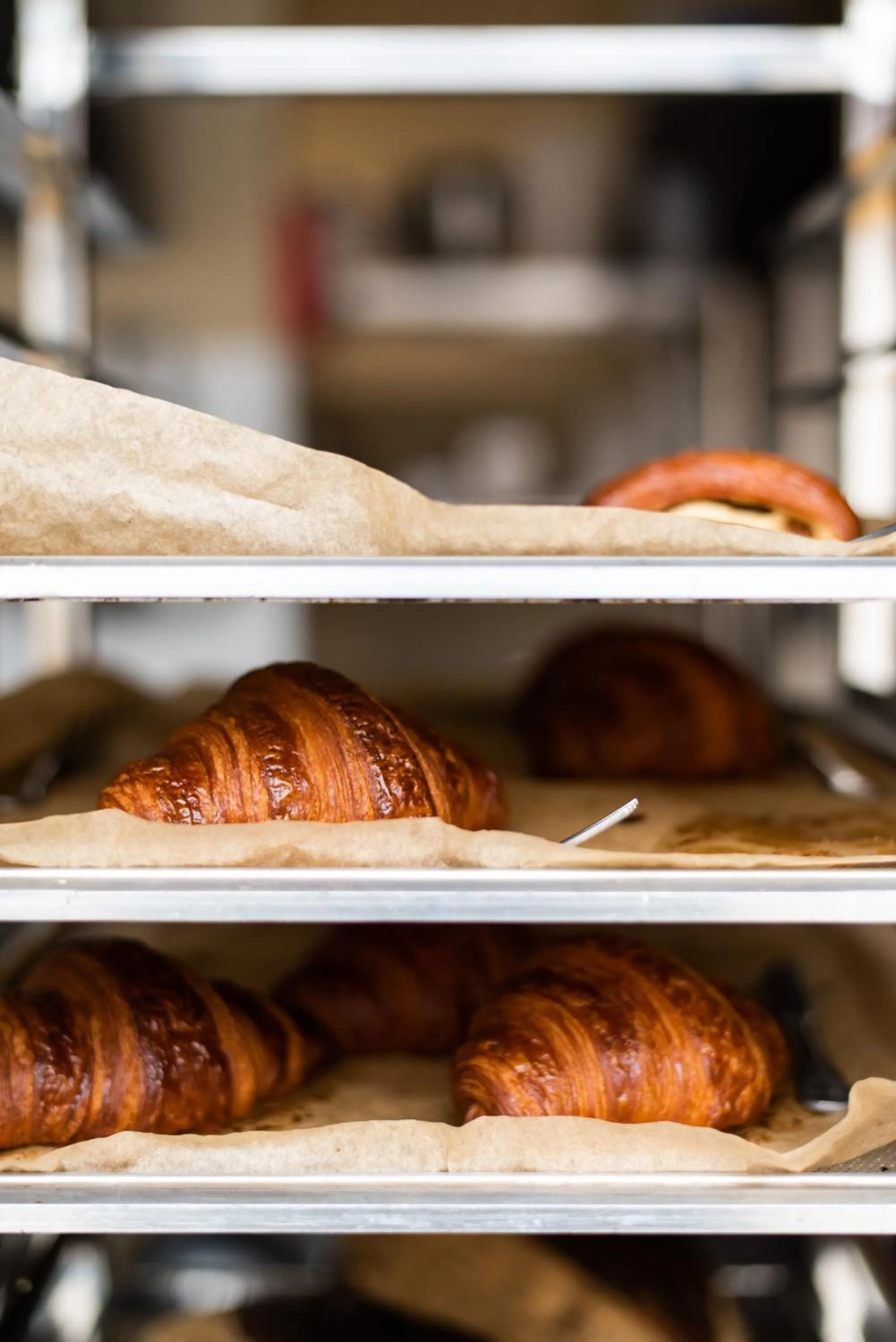 Food and drinks in DOMA Portugal