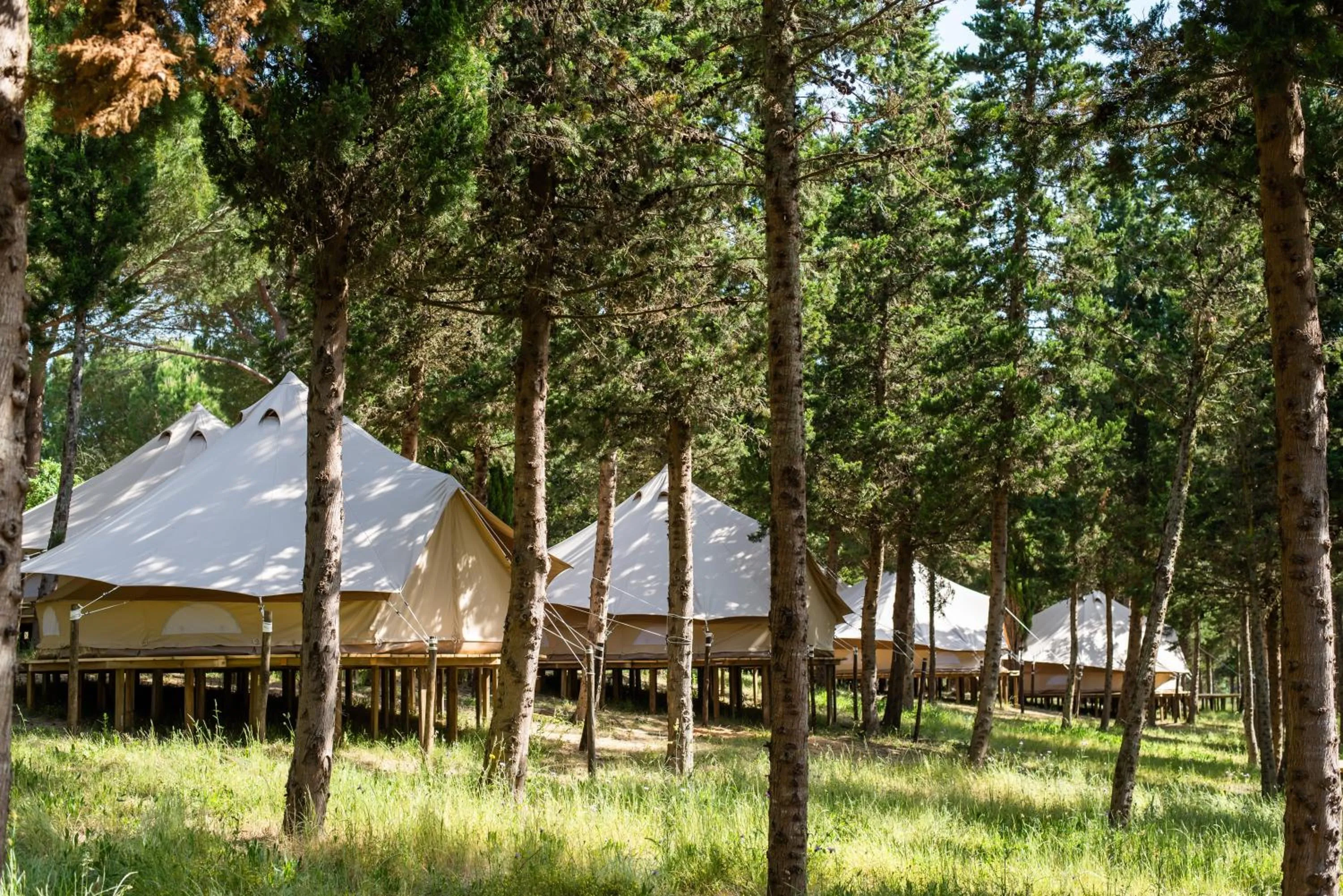 Natural landscape in DOMA Portugal
