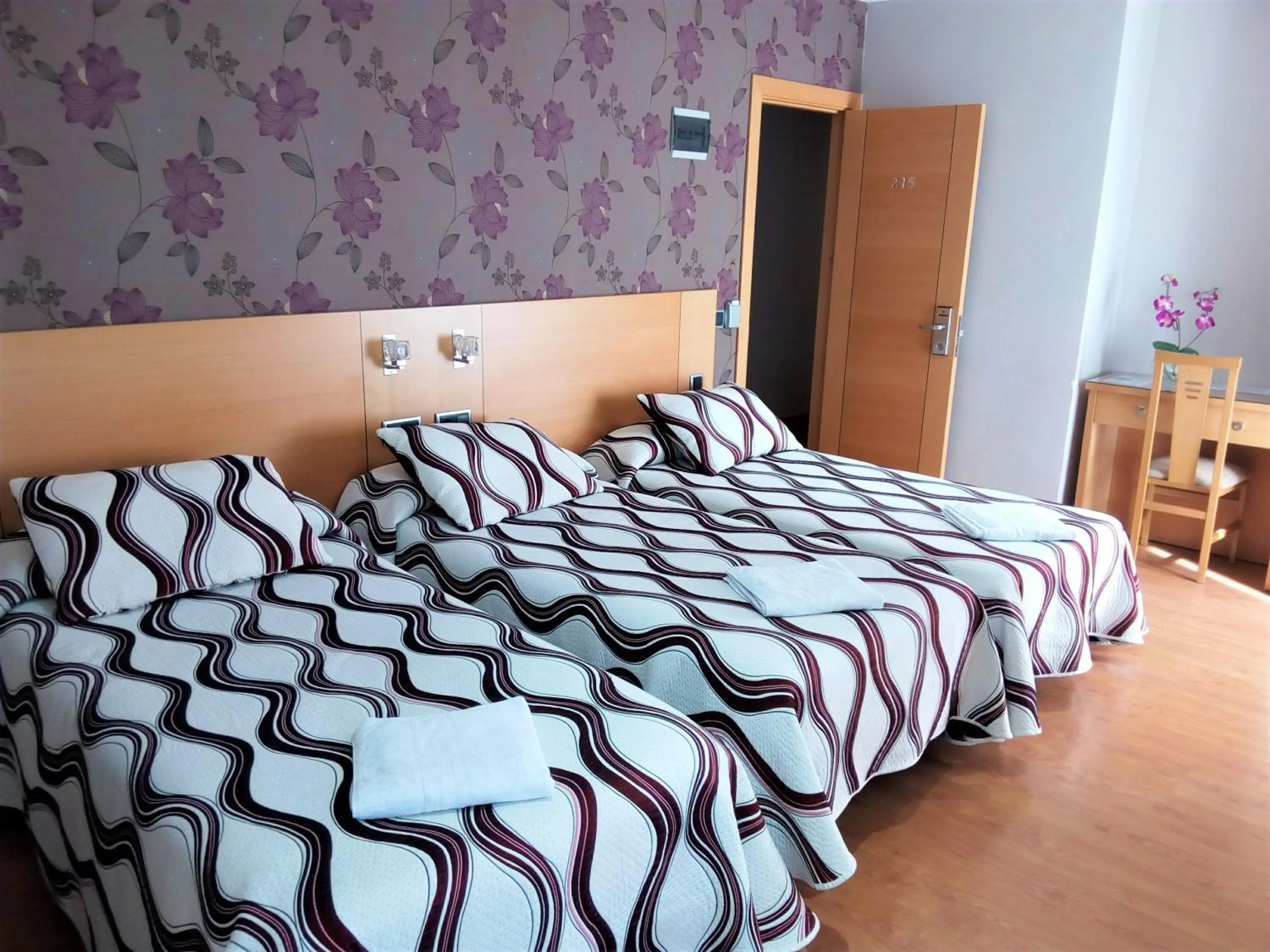 Photo of the whole room, Bed in Hostal Jemasaca-Palma61