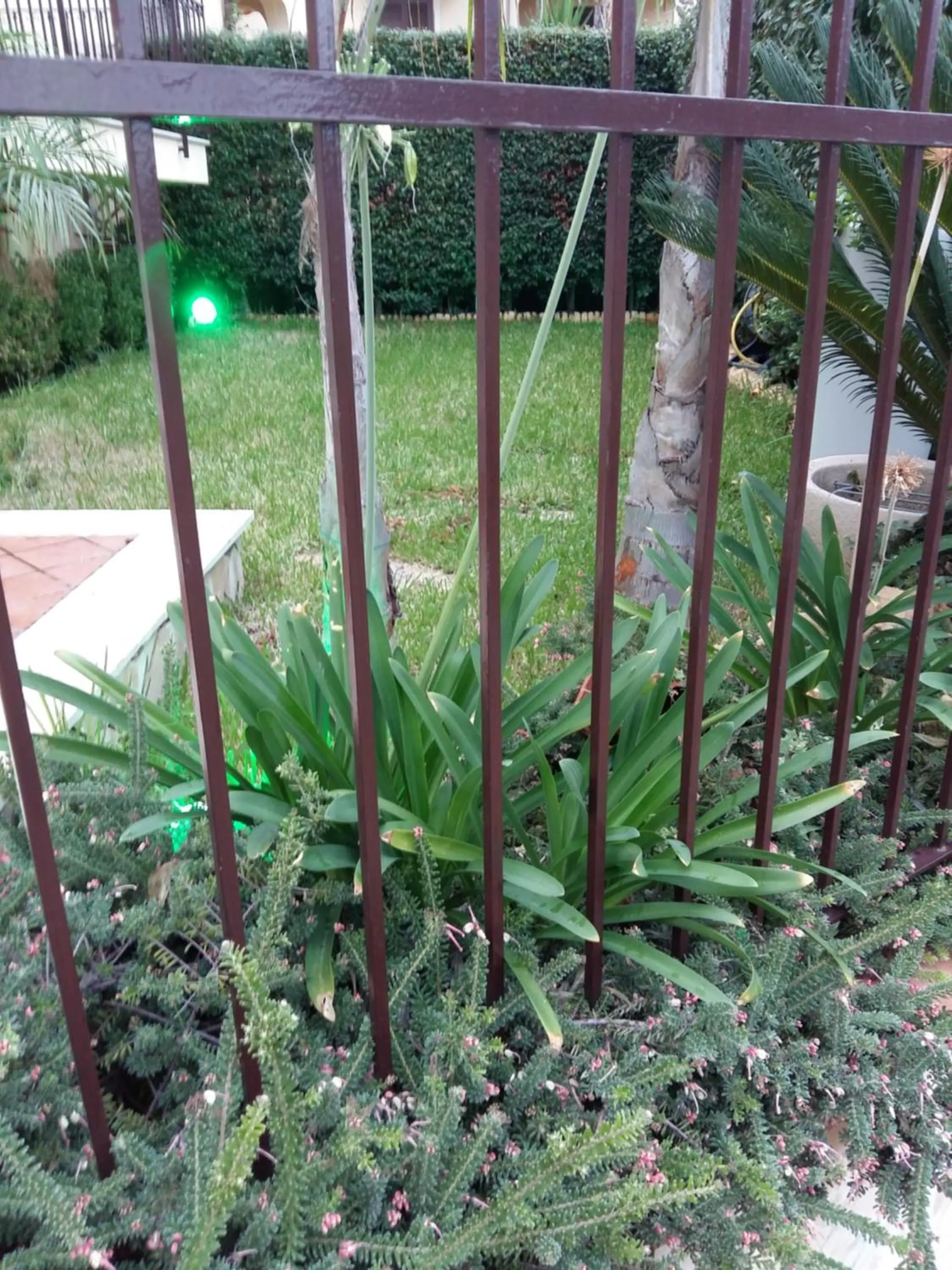 Property building in B&B Lavinaio