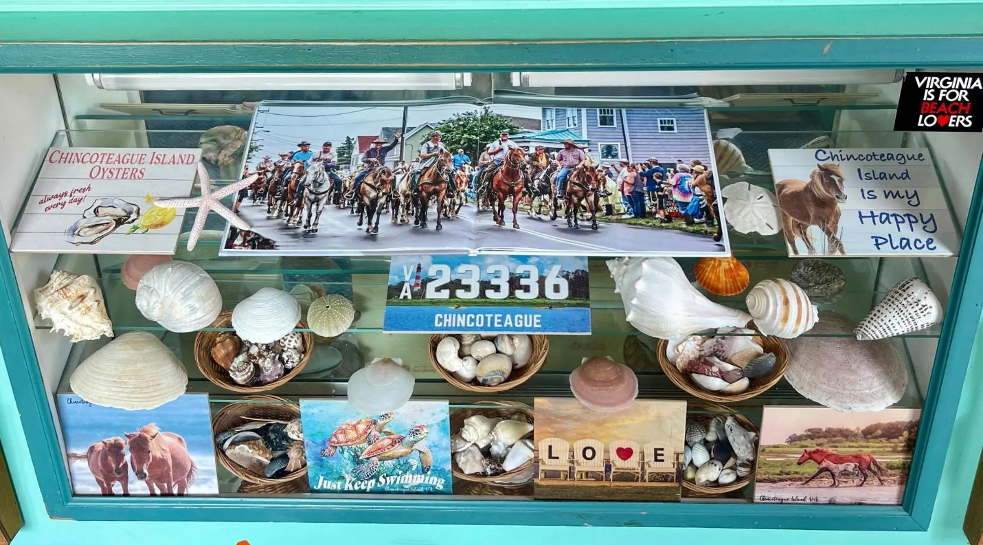 Property building in Americas Best Value Inn Chincoteague