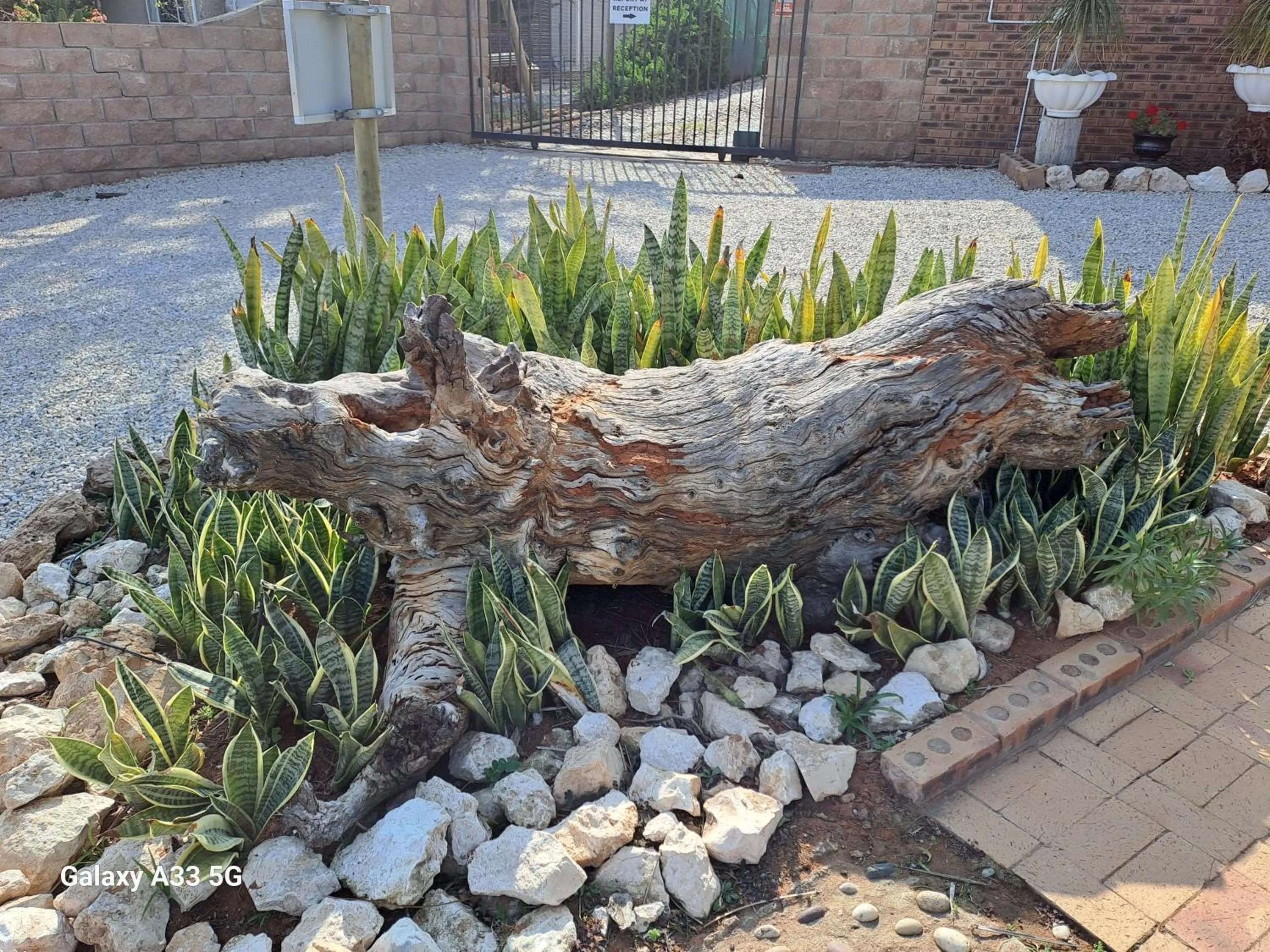 The Golden Grape B&B