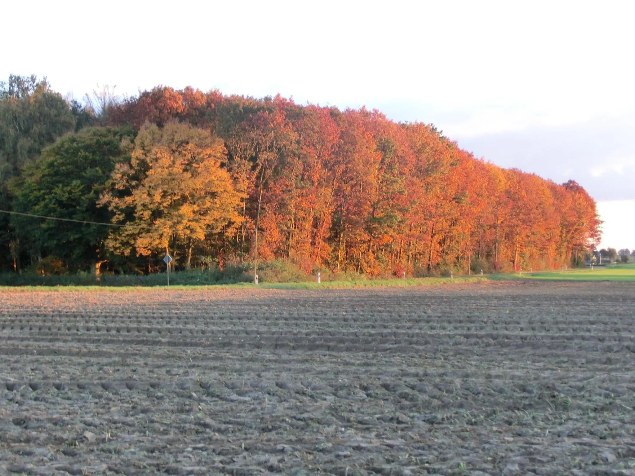 Hiking in Hotel Haus Nachtigall - B&B