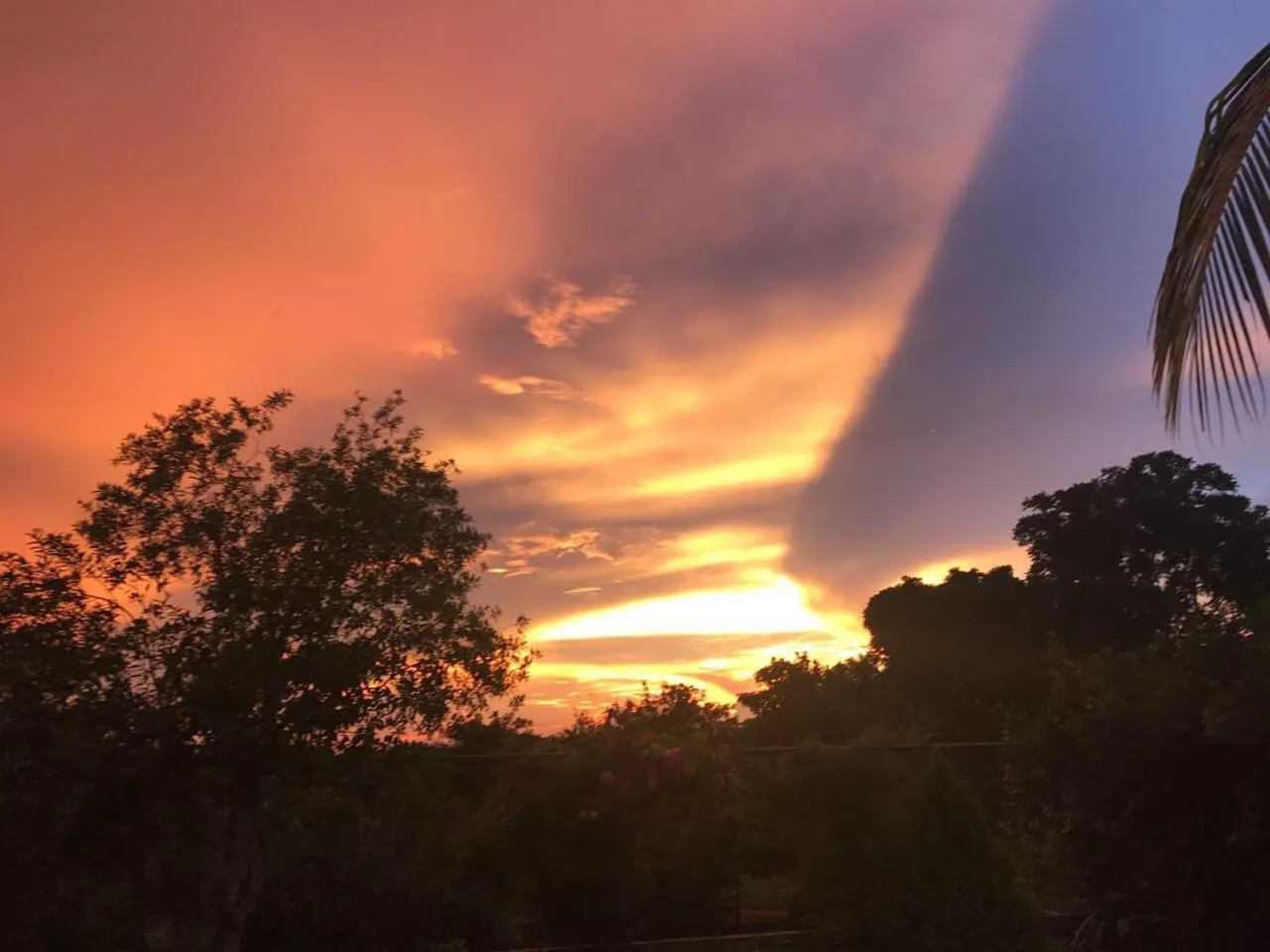 Garden in Villas Vallazoo