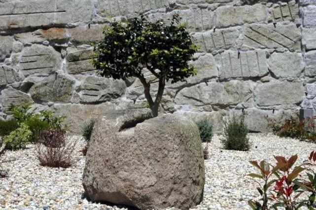 Other in Hotel Liñares