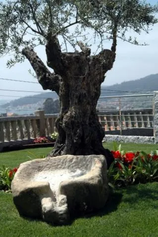 Day in Hotel Liñares