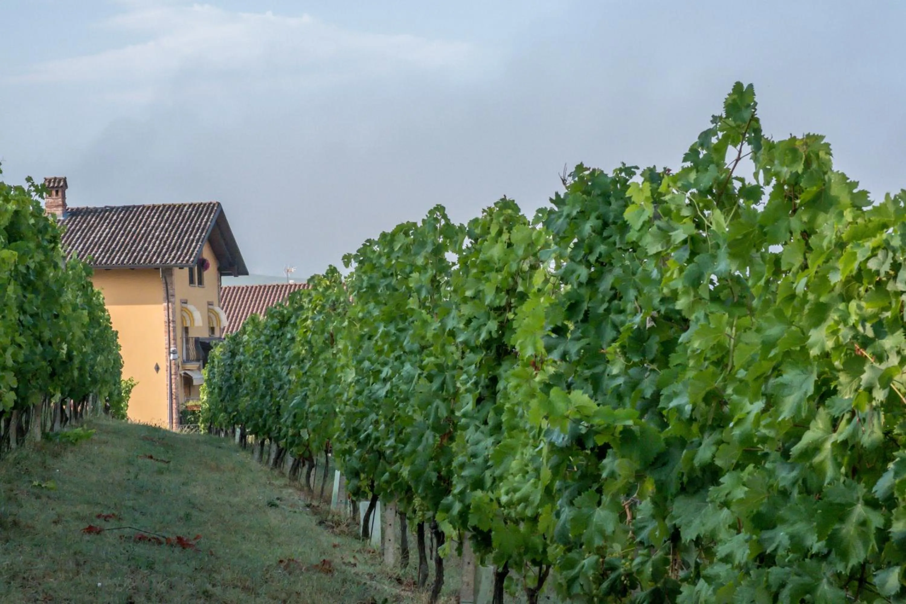 Property building in Mongalletto