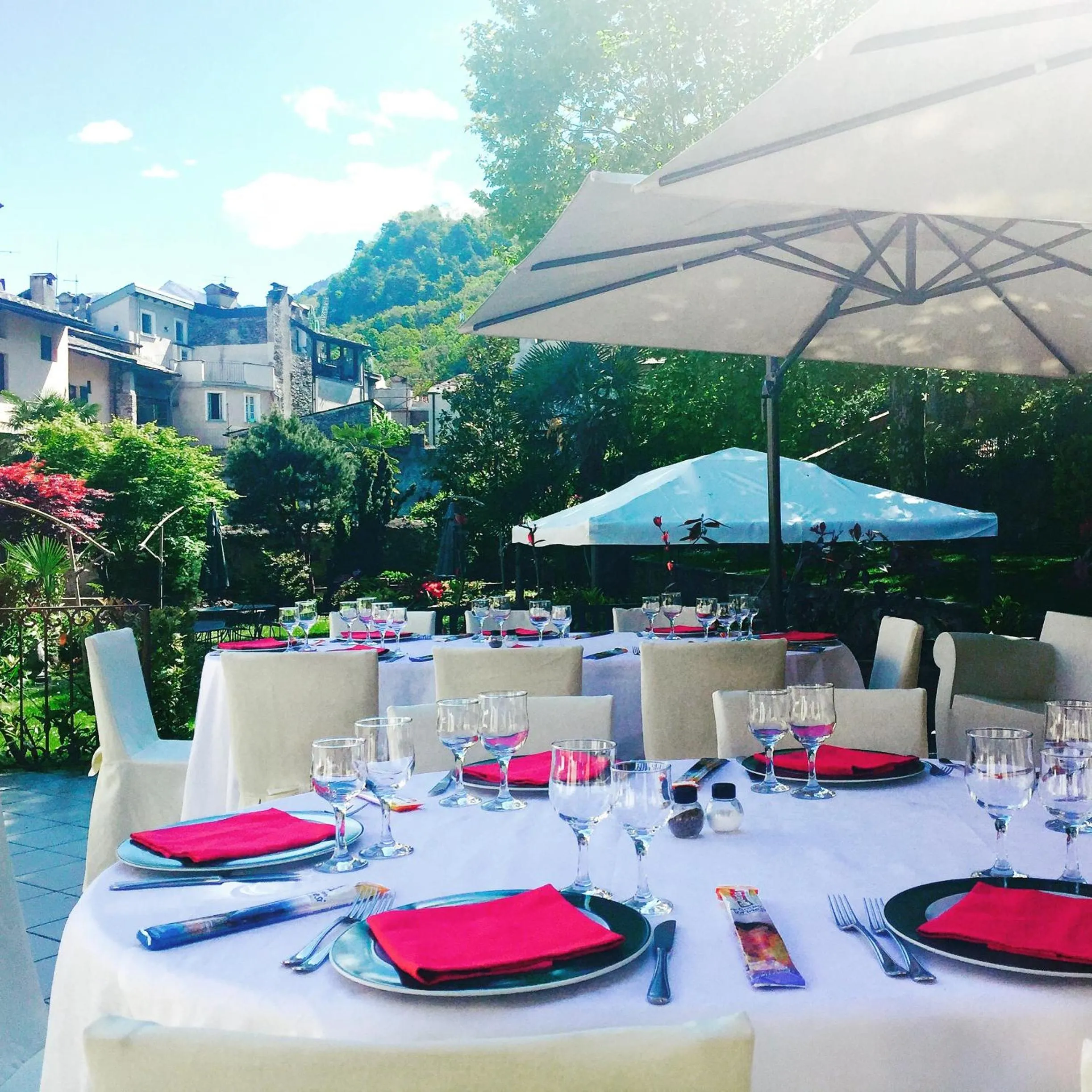 Garden in Hotel Trieste