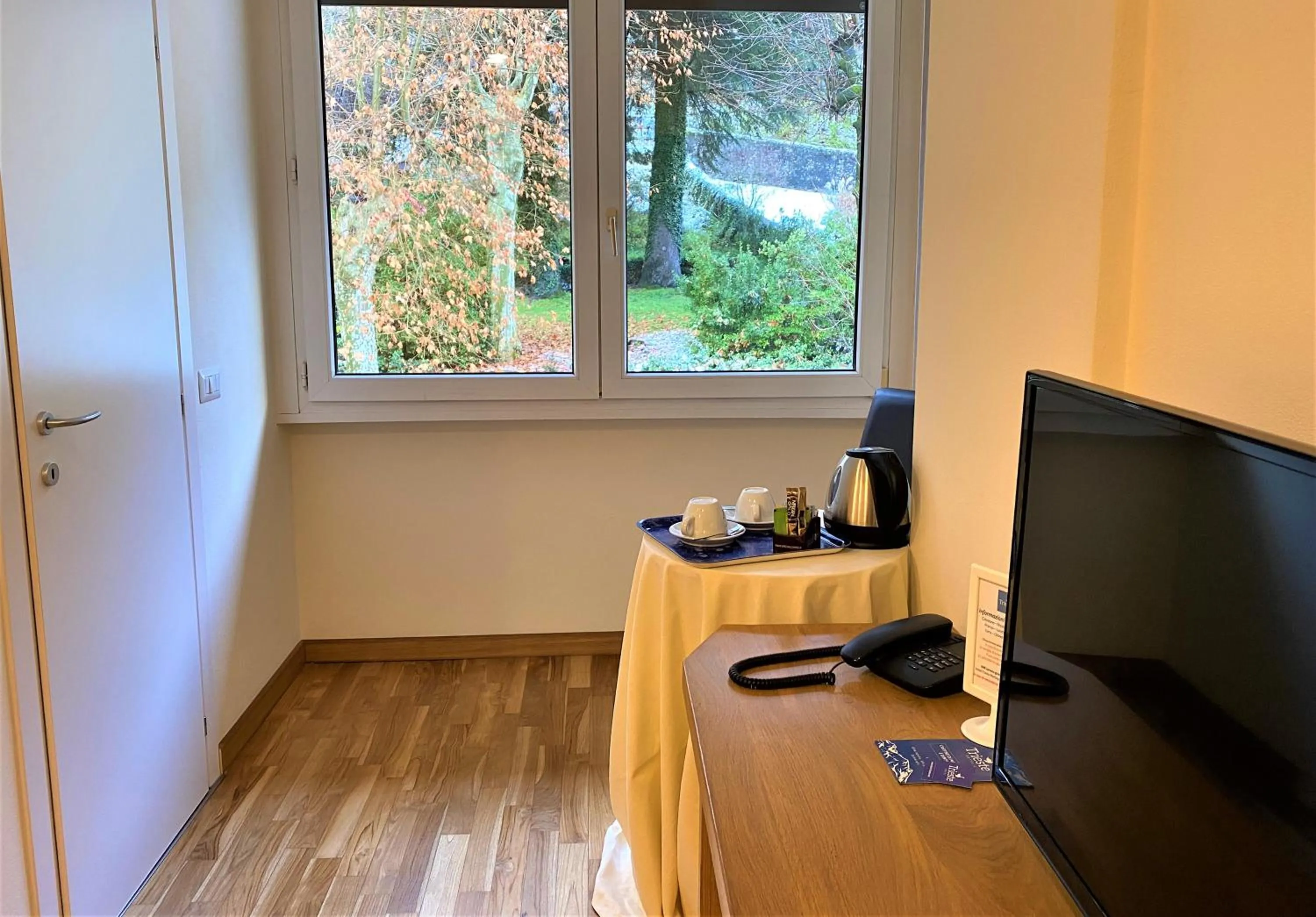 TV and multimedia in Hotel Trieste