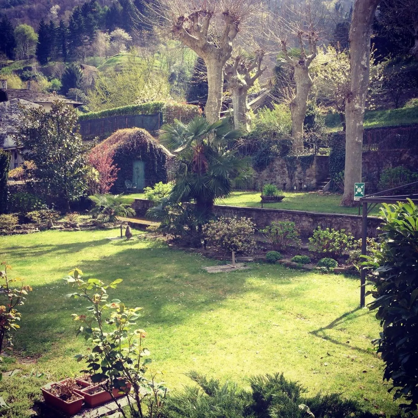 Garden in Hotel Trieste