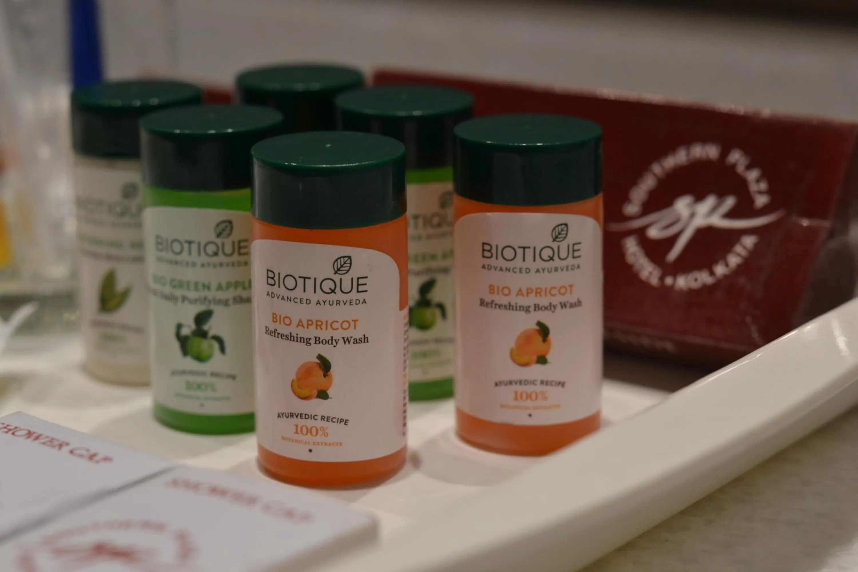 Bathroom in Southern Plaza