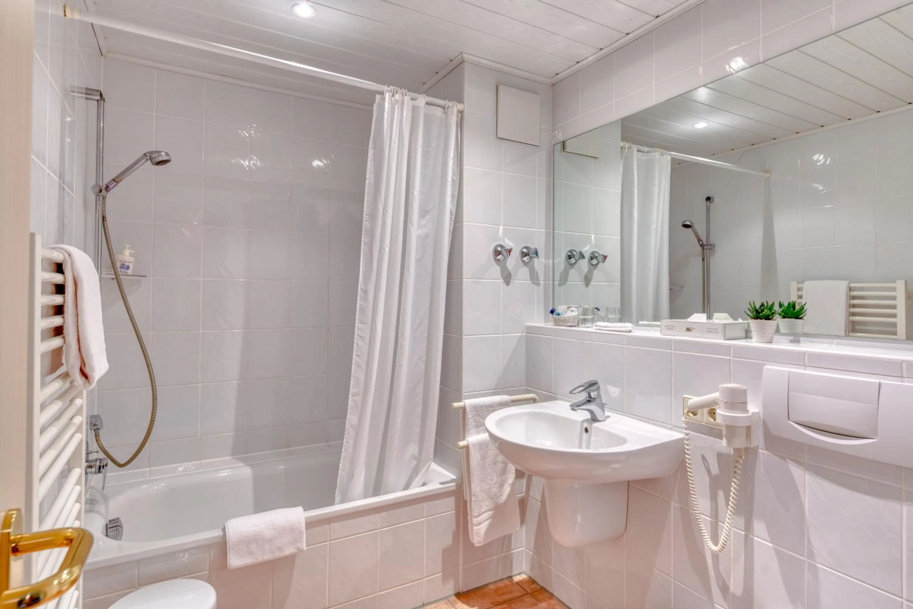 Shower in Hotel Alt Vellern