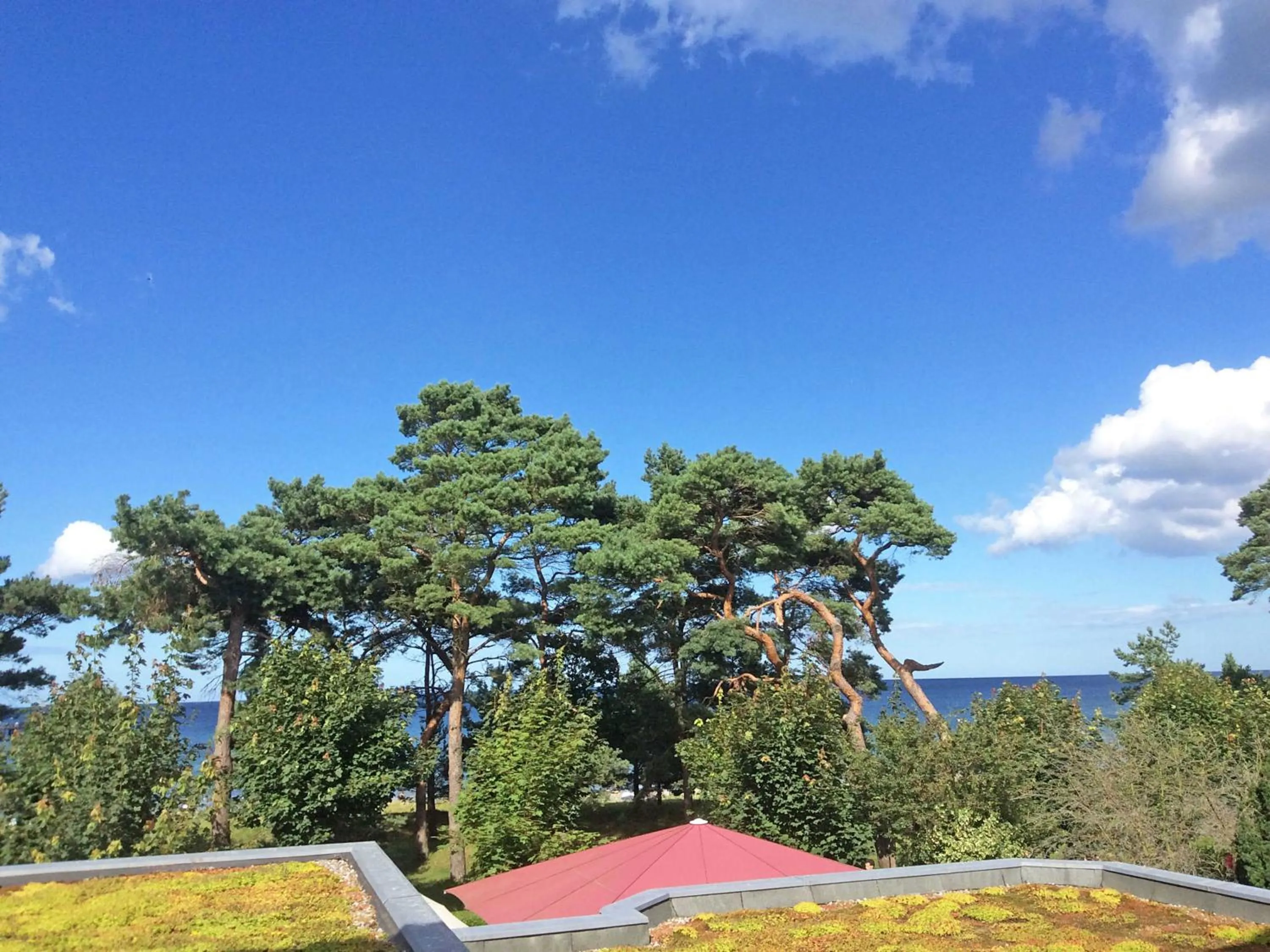 Sea view in Villa Freia in Binz - WG 11 mit Meerblick und Balkon