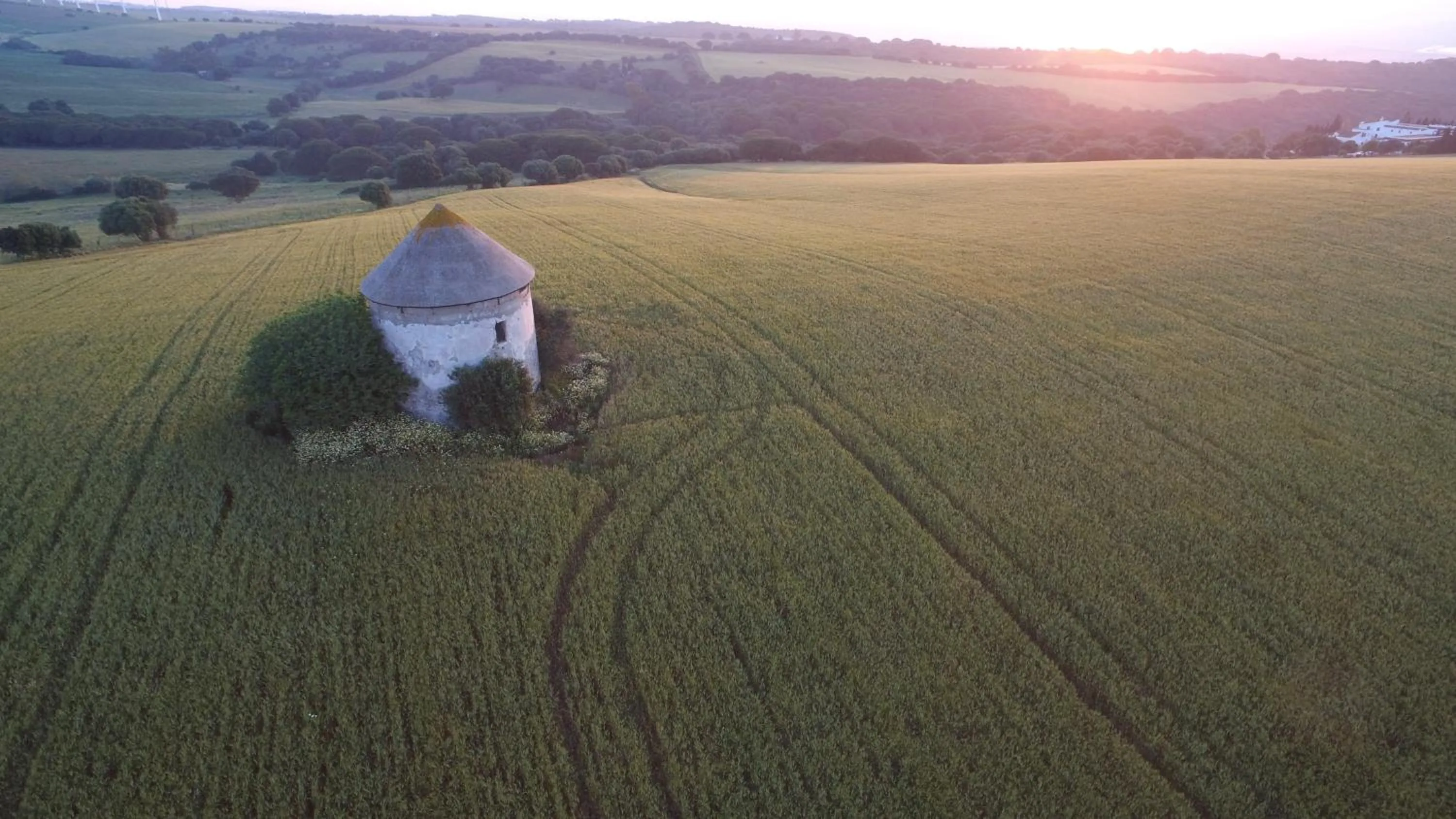 Neighbourhood in El Palomar de la Breña